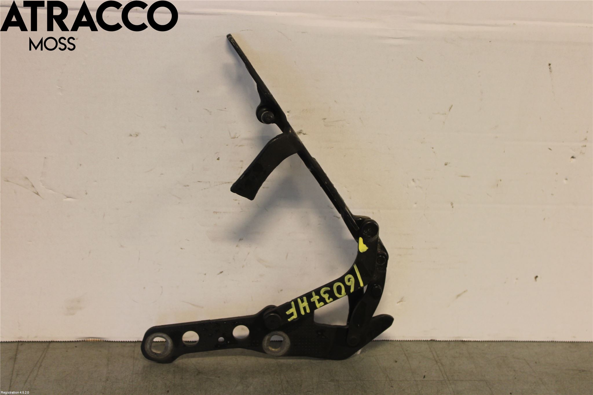 BMW X3 E83     03-10 Panser Hengsel - Hengsler