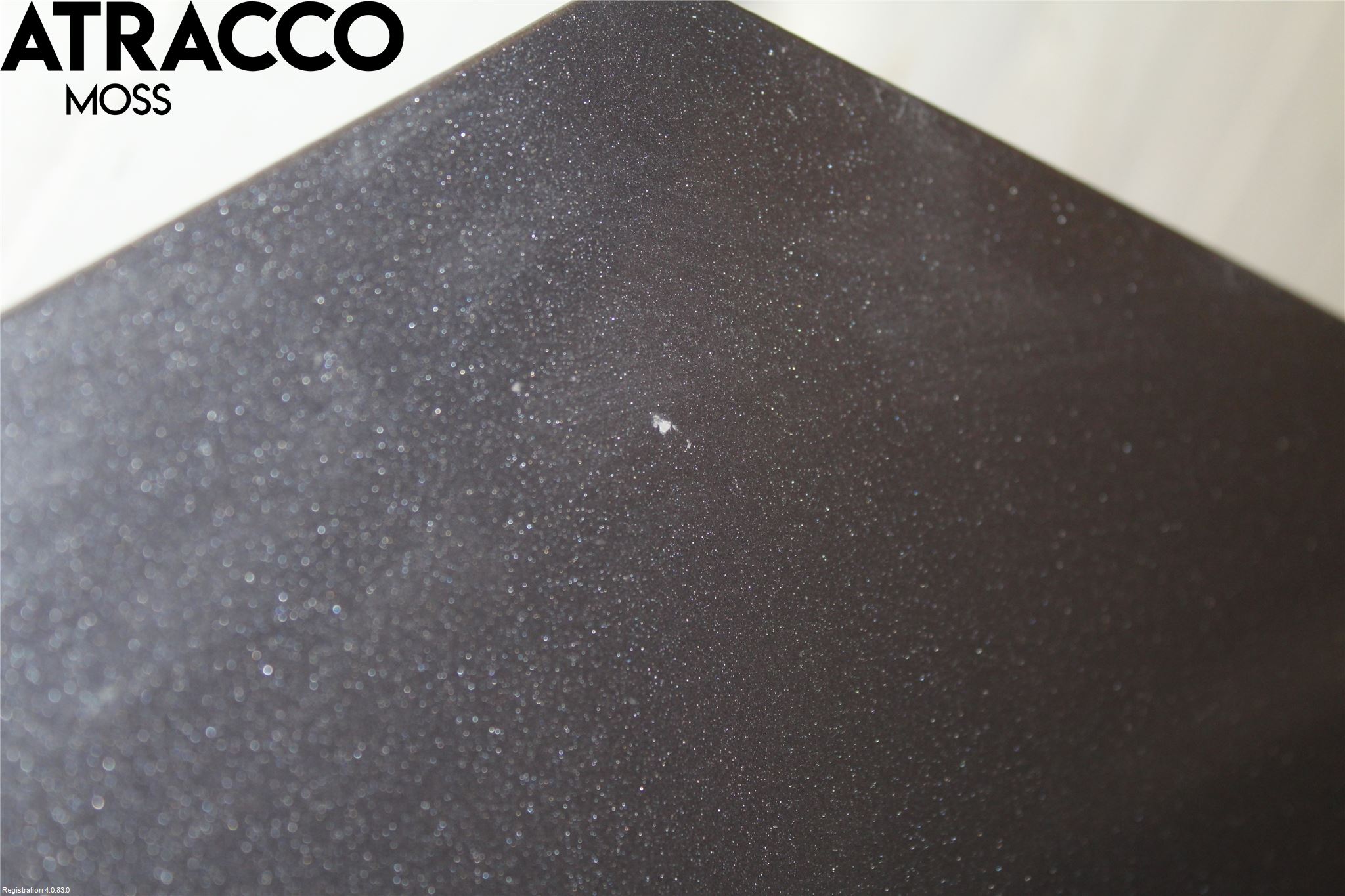 Nissan LEAF 11-17 Panser