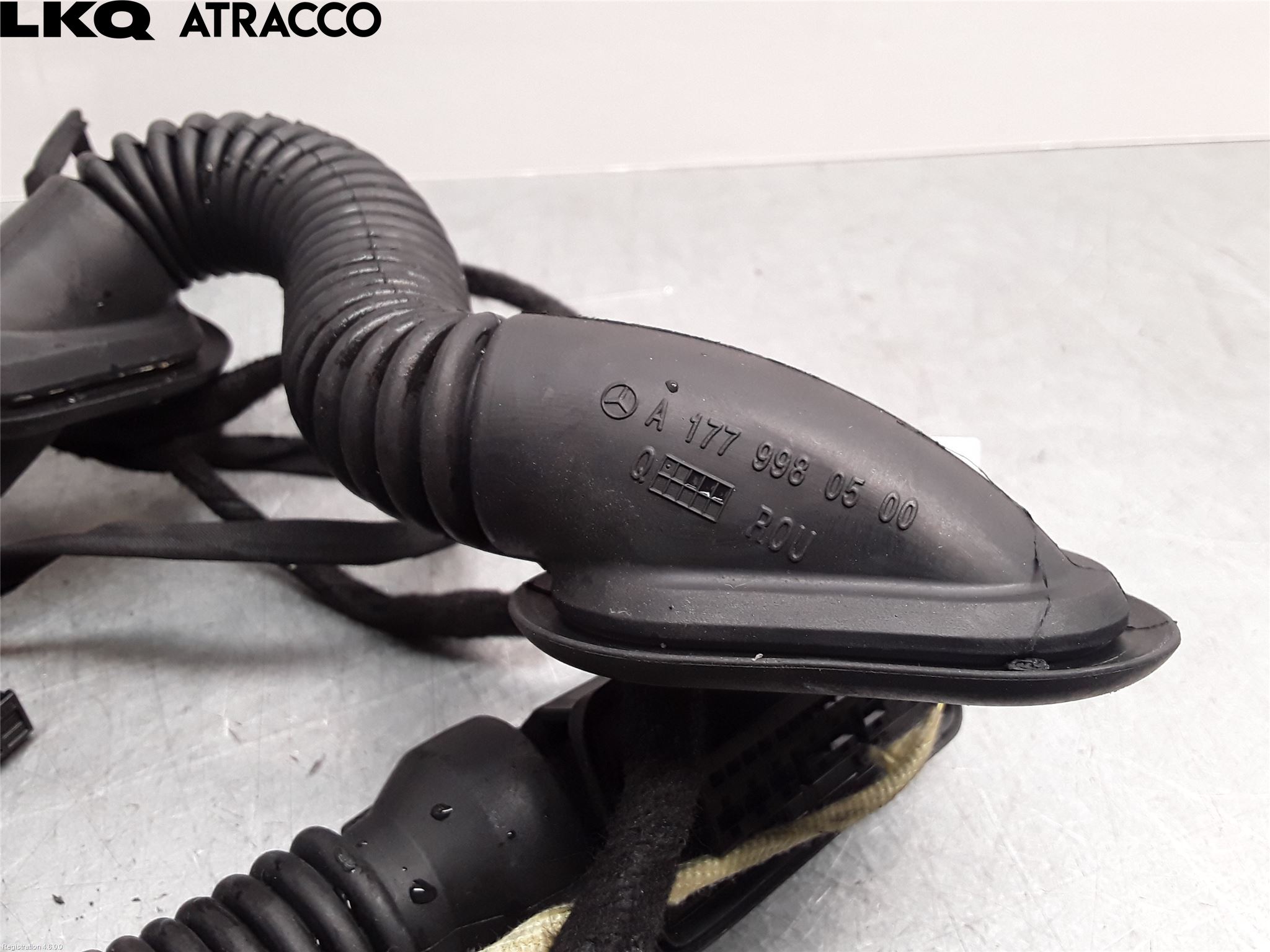 Mercedes-Benz MB EQB (X243) 22- Ledningsnett