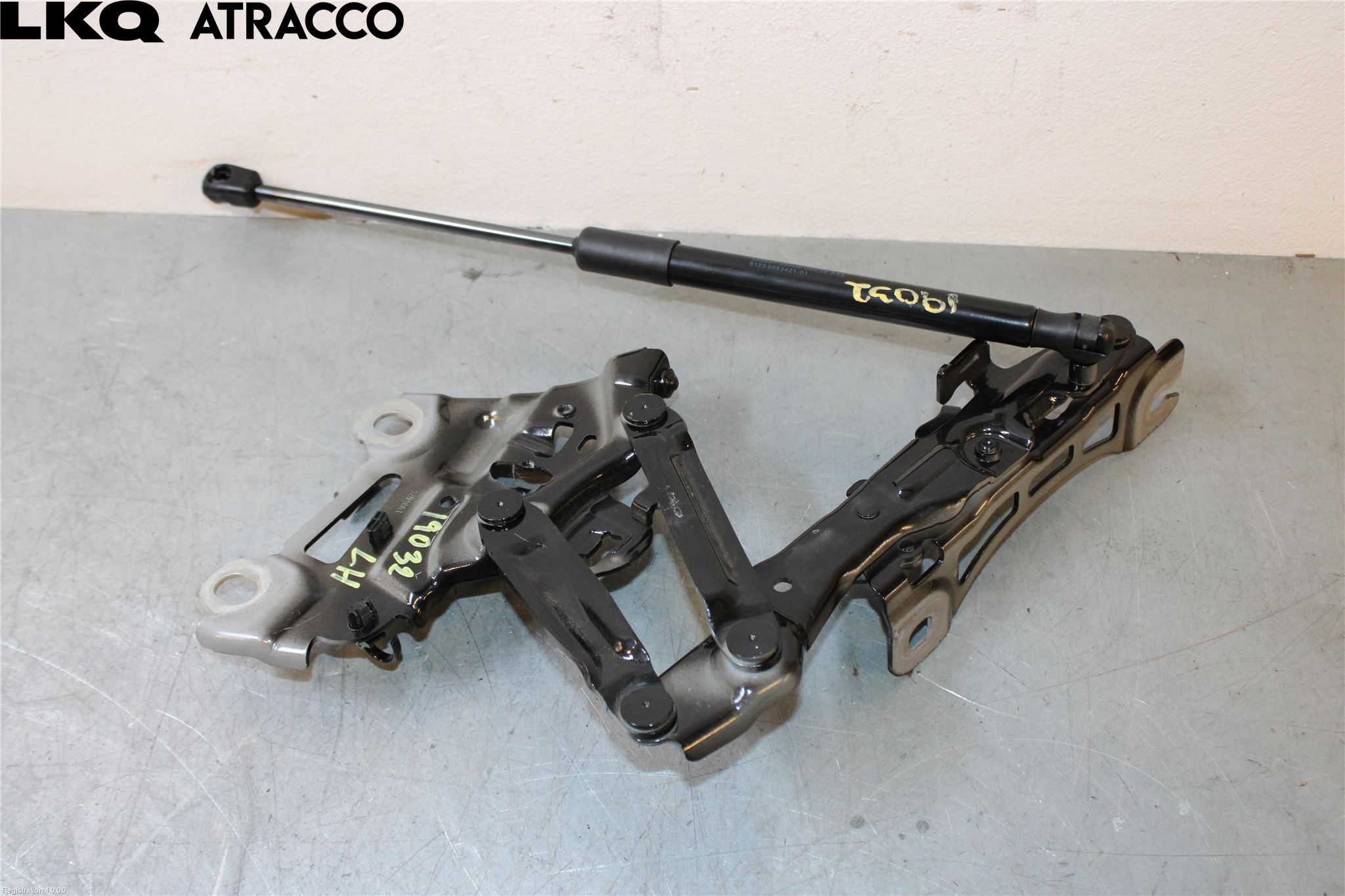 BMW X1/iX1 U11 23- Panser Hengsel - Hengsler