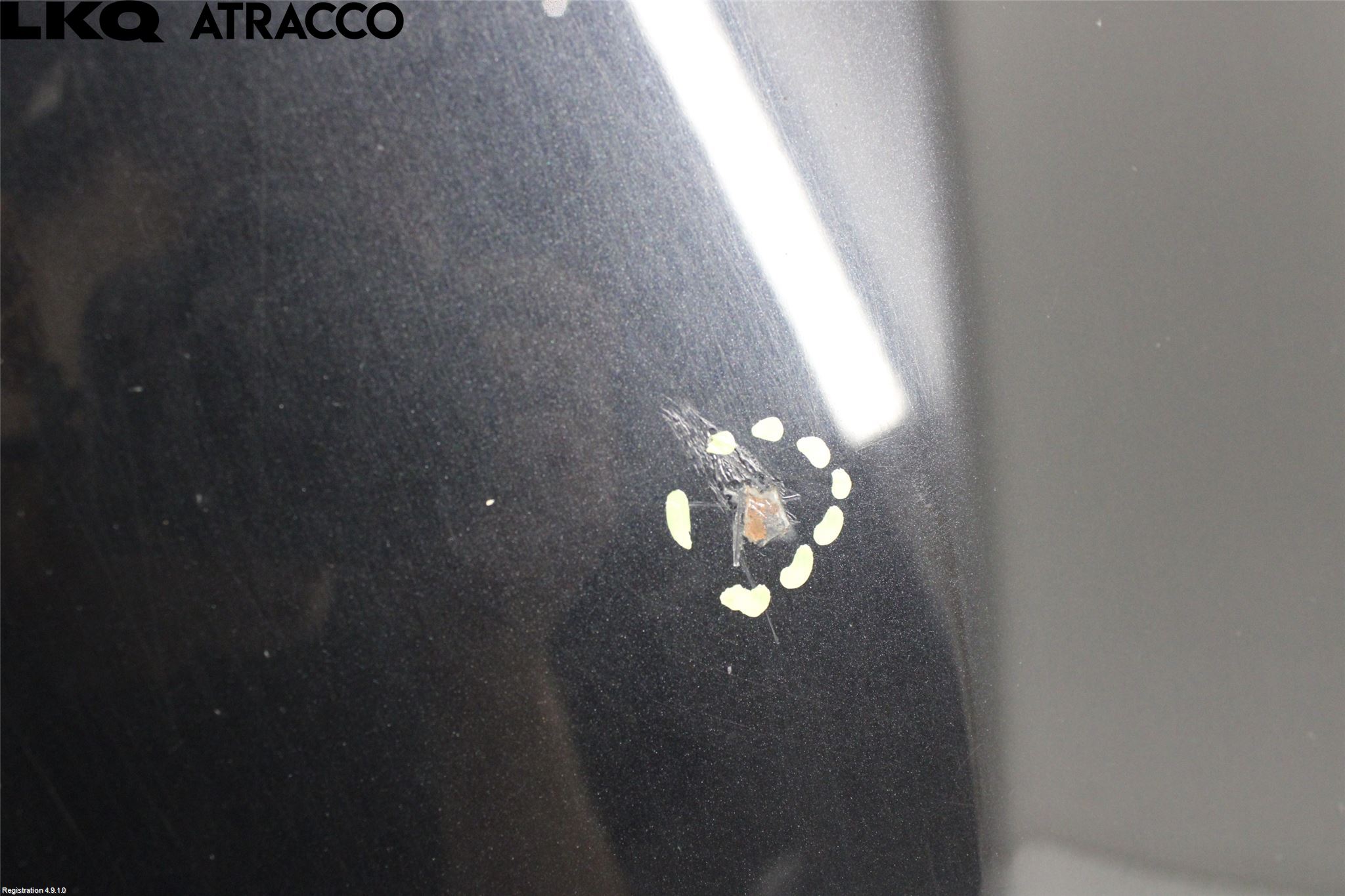 BMW X1 E84 10-15 Panser