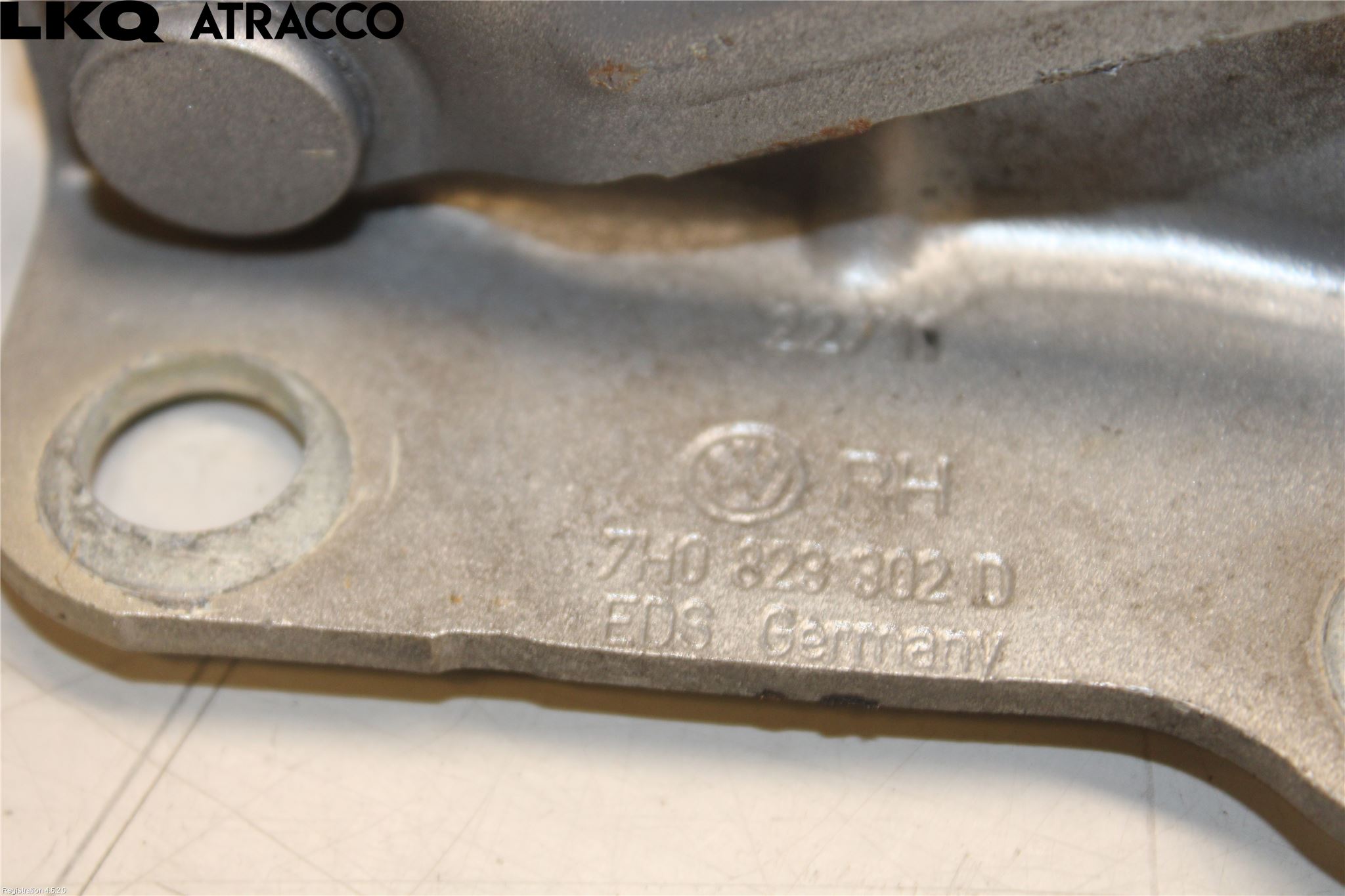 Volkswagen VW TRANSP/CARAVELLE (T5) 04-15 Panser Hengsel - Hengsler