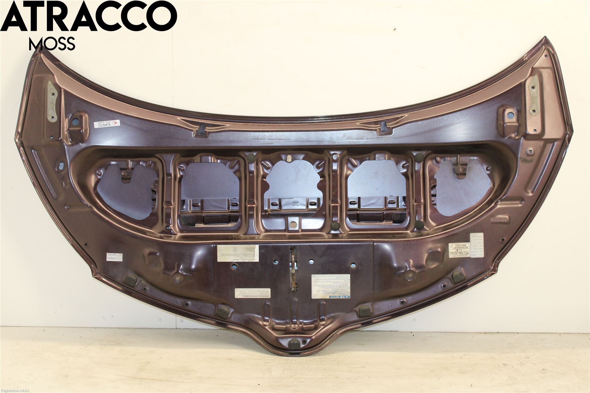 Toyota URBAN CRUISER Panser