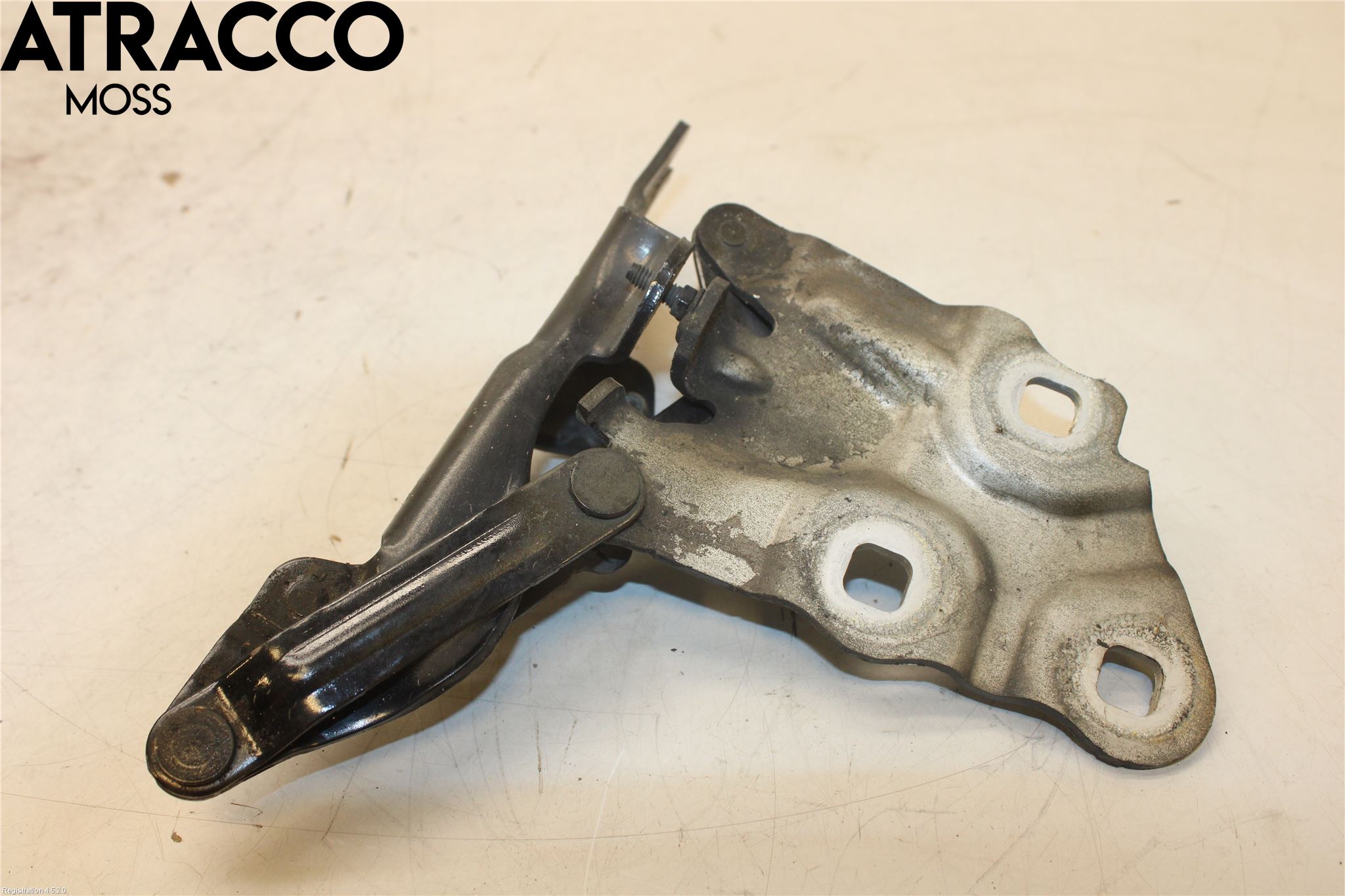 BMW X3 F25 10-17 Panser Hengsel - Hengsler