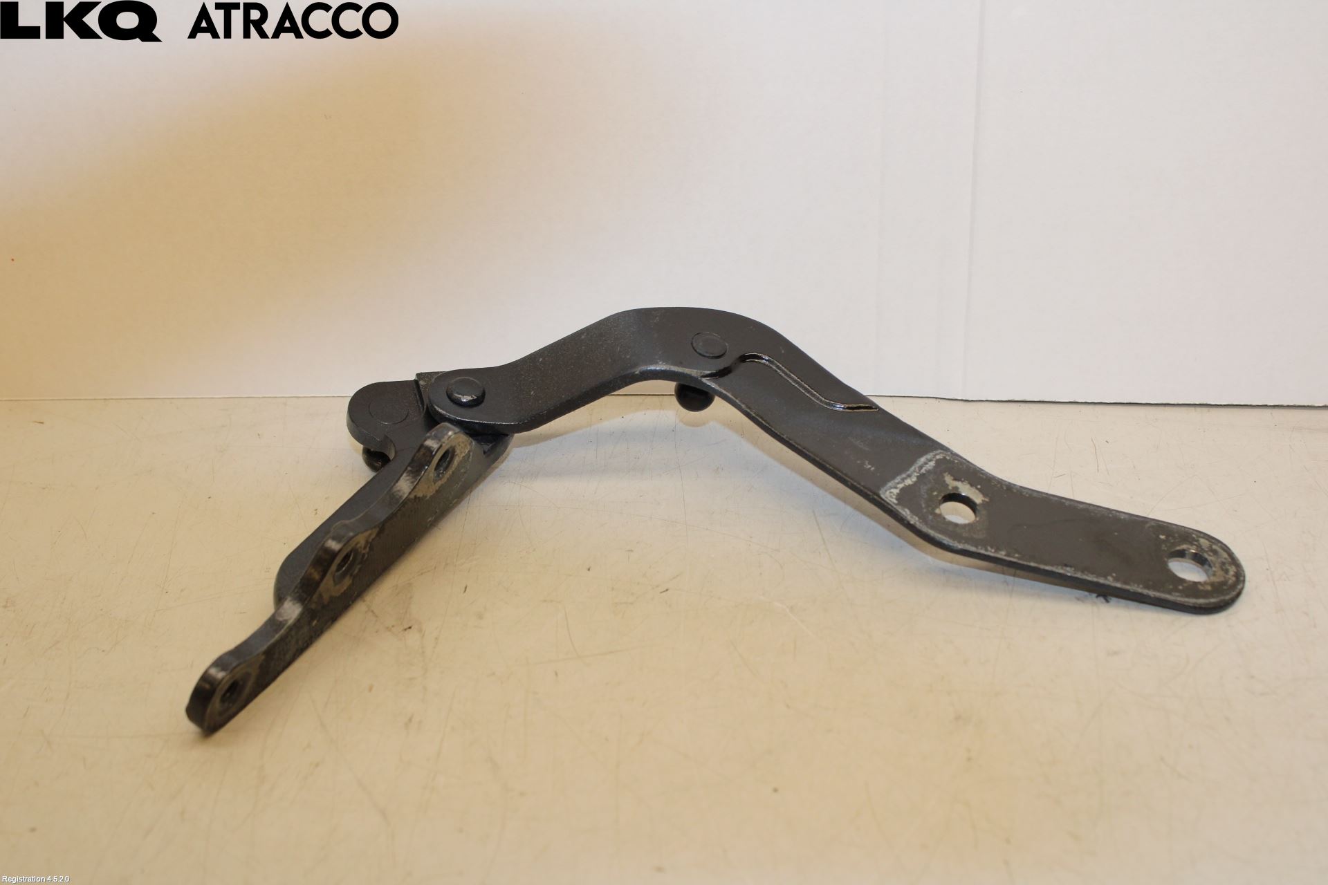 Tesla MODEL X 16- Panser Hengsel - Hengsler