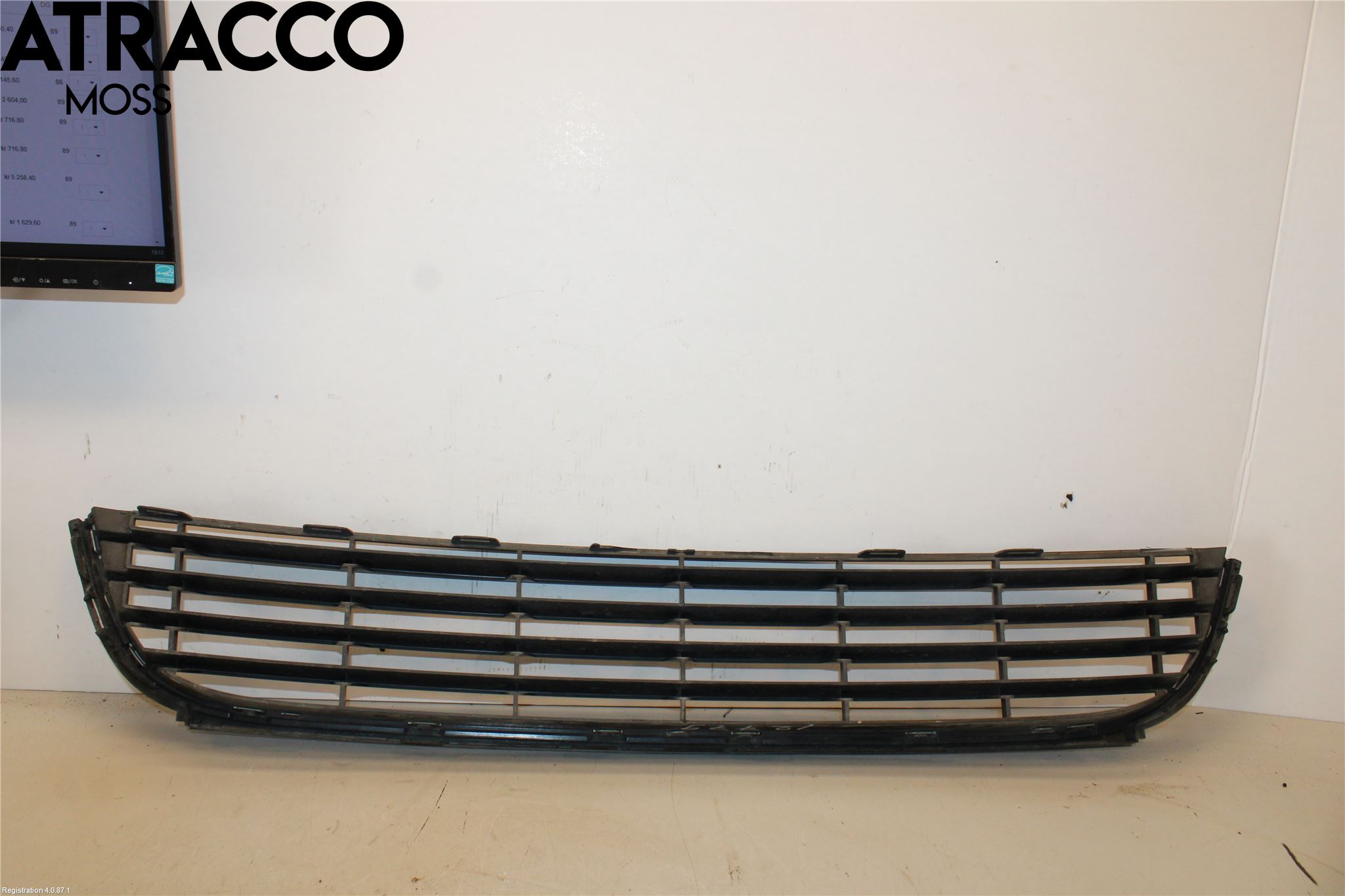 Volkswagen VW GOLF PLUS/CROSS GOLF 04-14 Støtfanger Grill-Utfylling