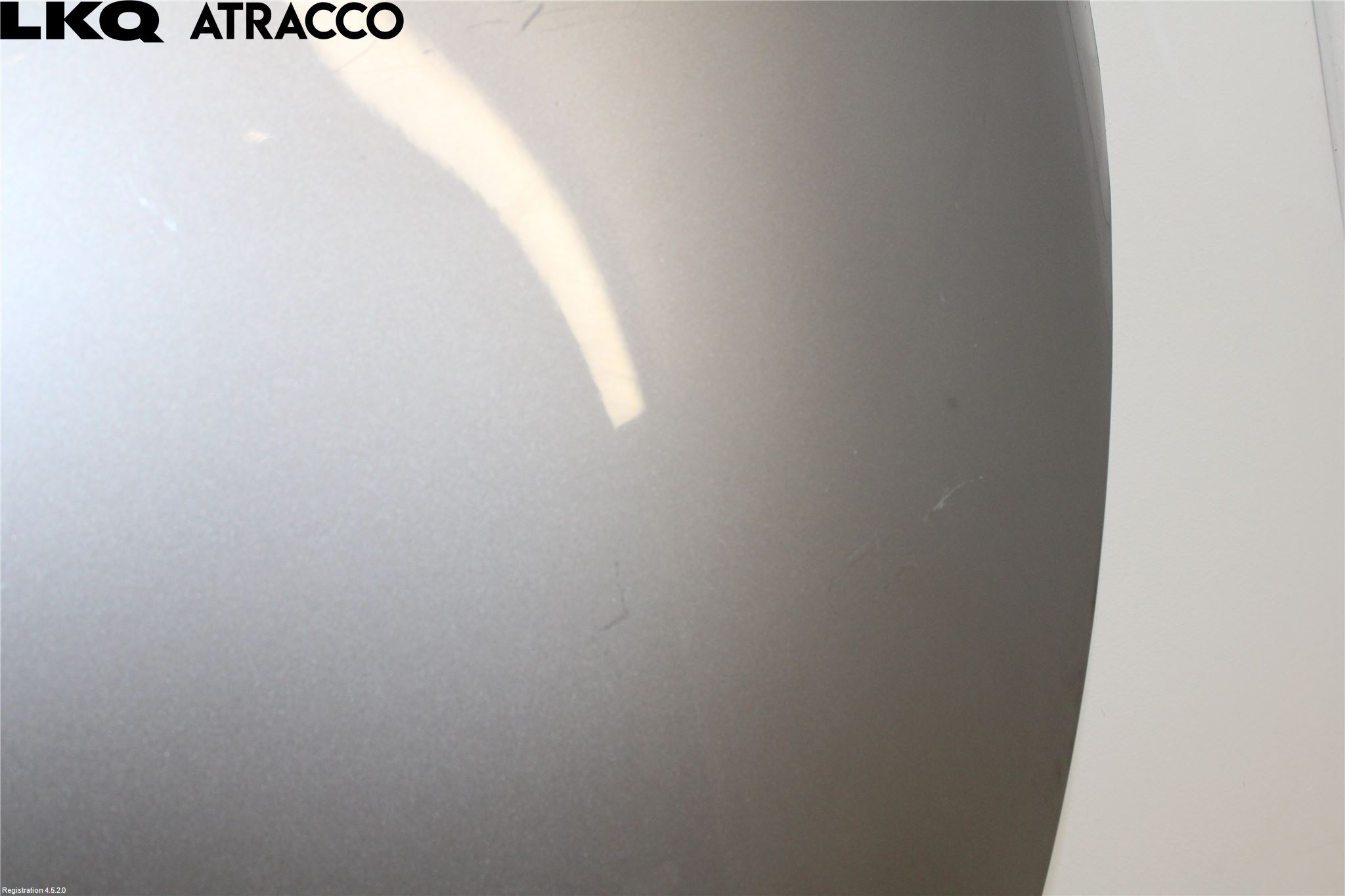 Renault ZOE/E-TECH 13- Panser