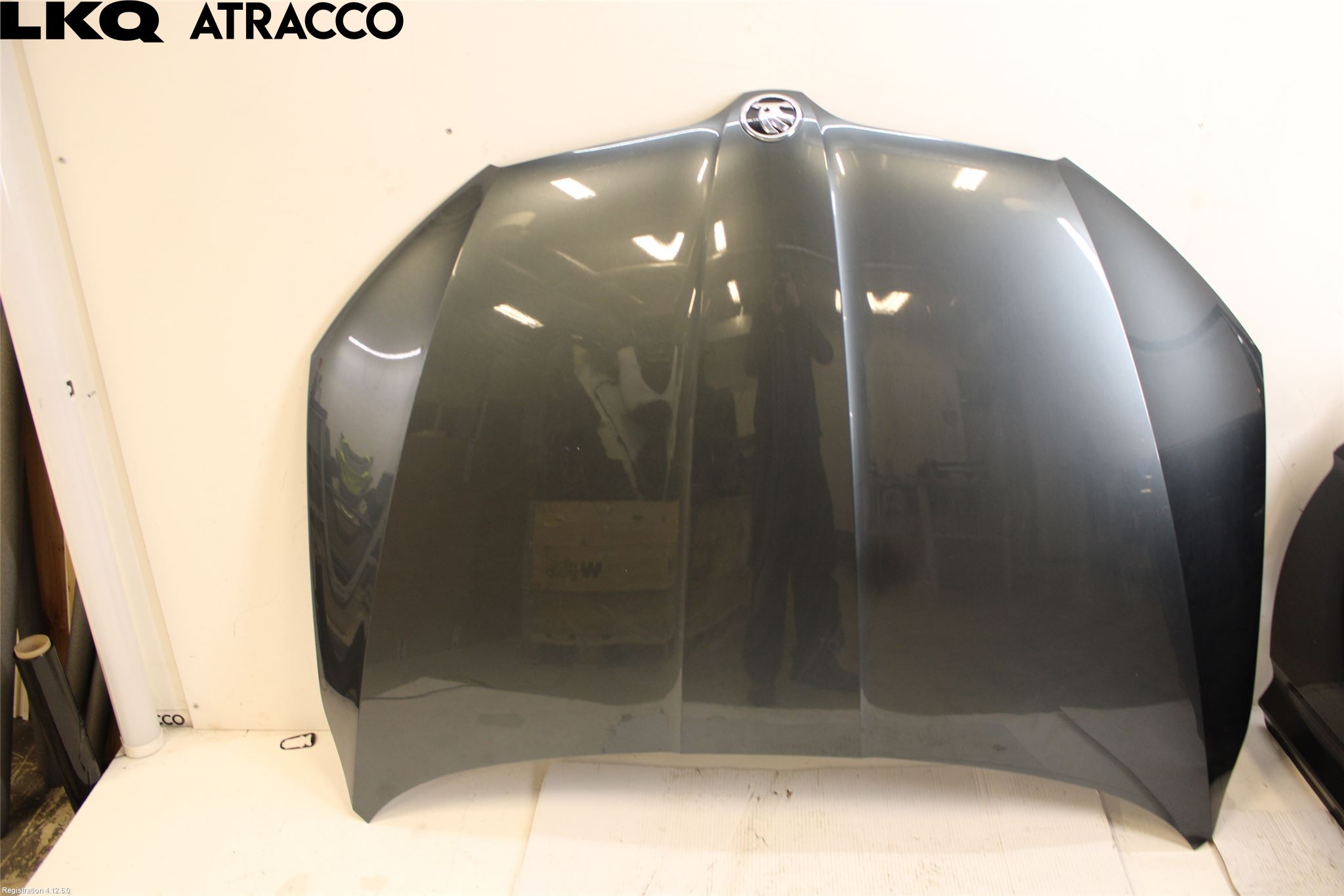 Skoda OCTAVIA (5E) 13-20 Panser