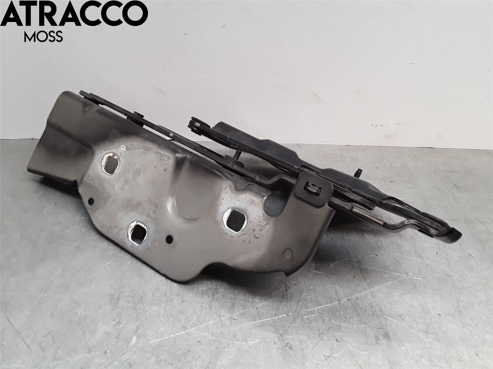 Jaguar I-PACE 18- Panser Hengsel - Hengsler