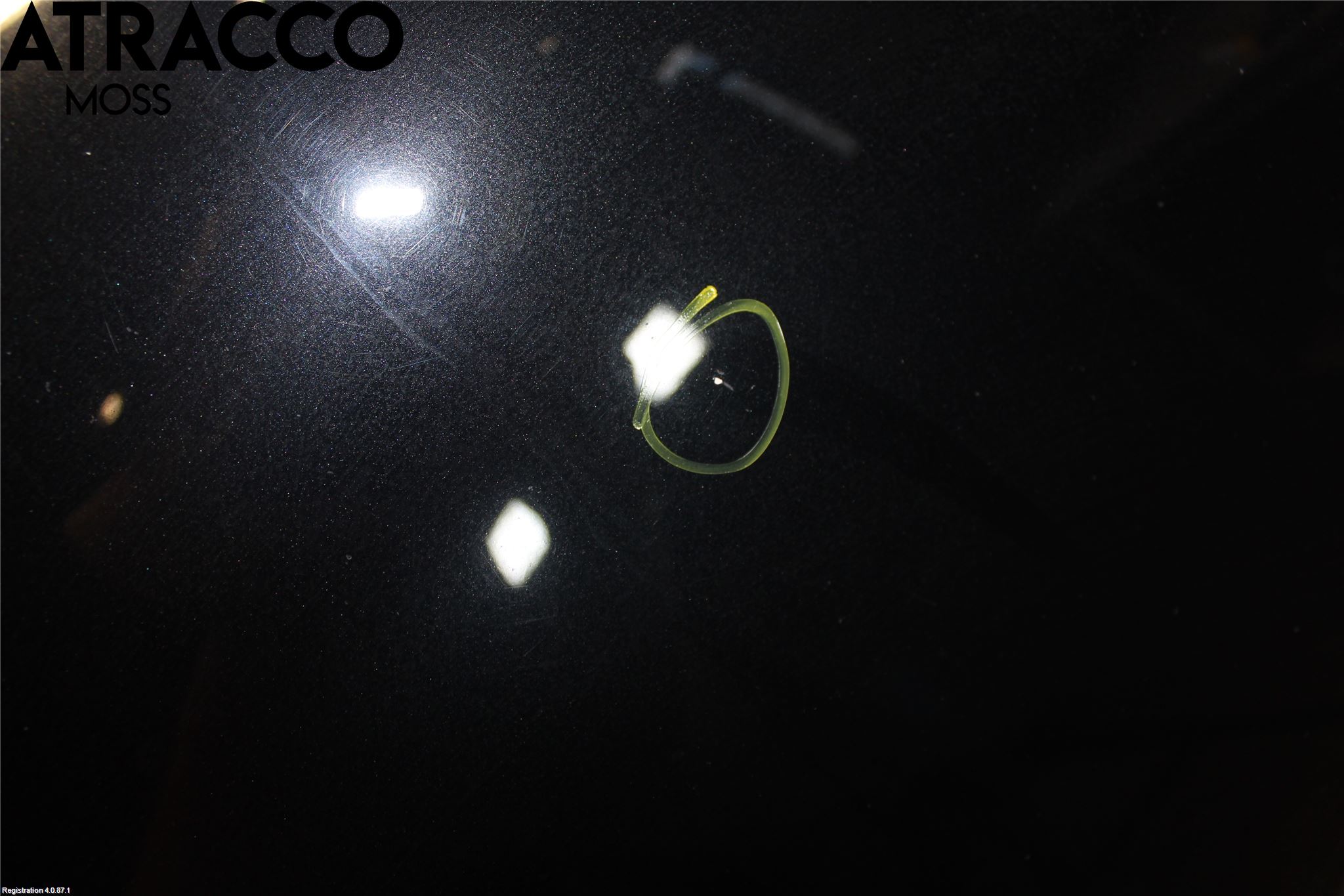 Audi A6/S6     05-11 Panser