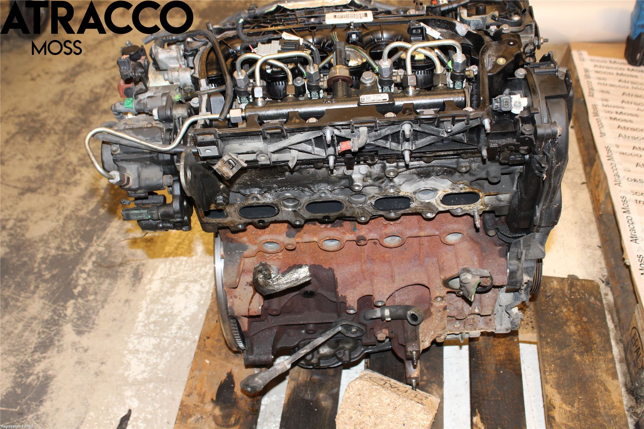 Ford FOCUS 11-14 Motor Diesel