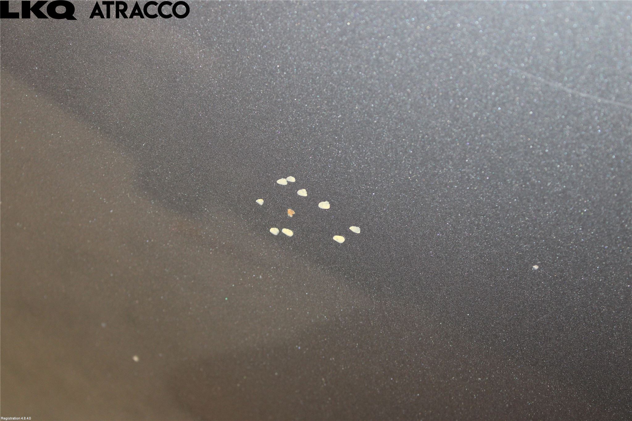 Volkswagen VW GOLF VI 09-13 Panser