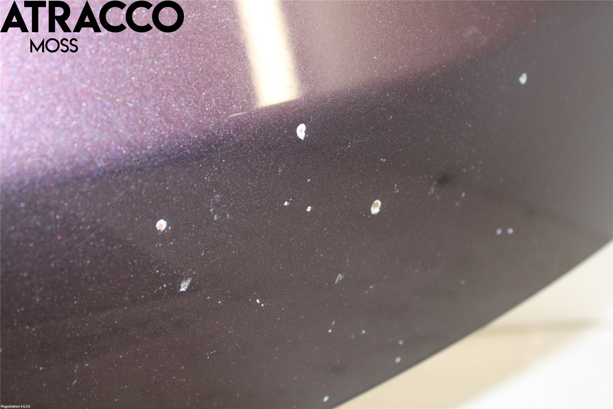 Toyota URBAN CRUISER Panser