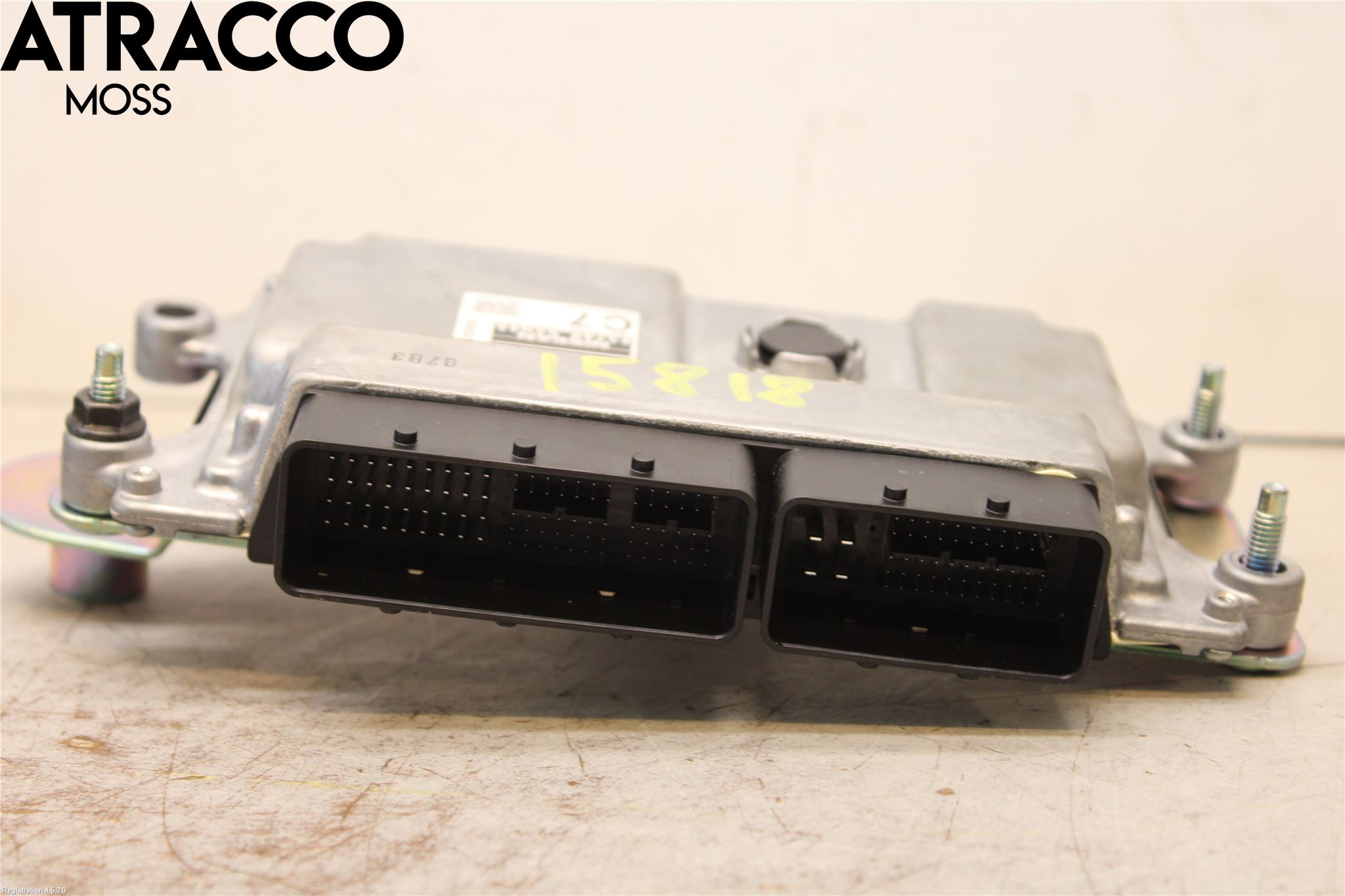 Nissan LEAF 18- Styreenhet Innsprøytning