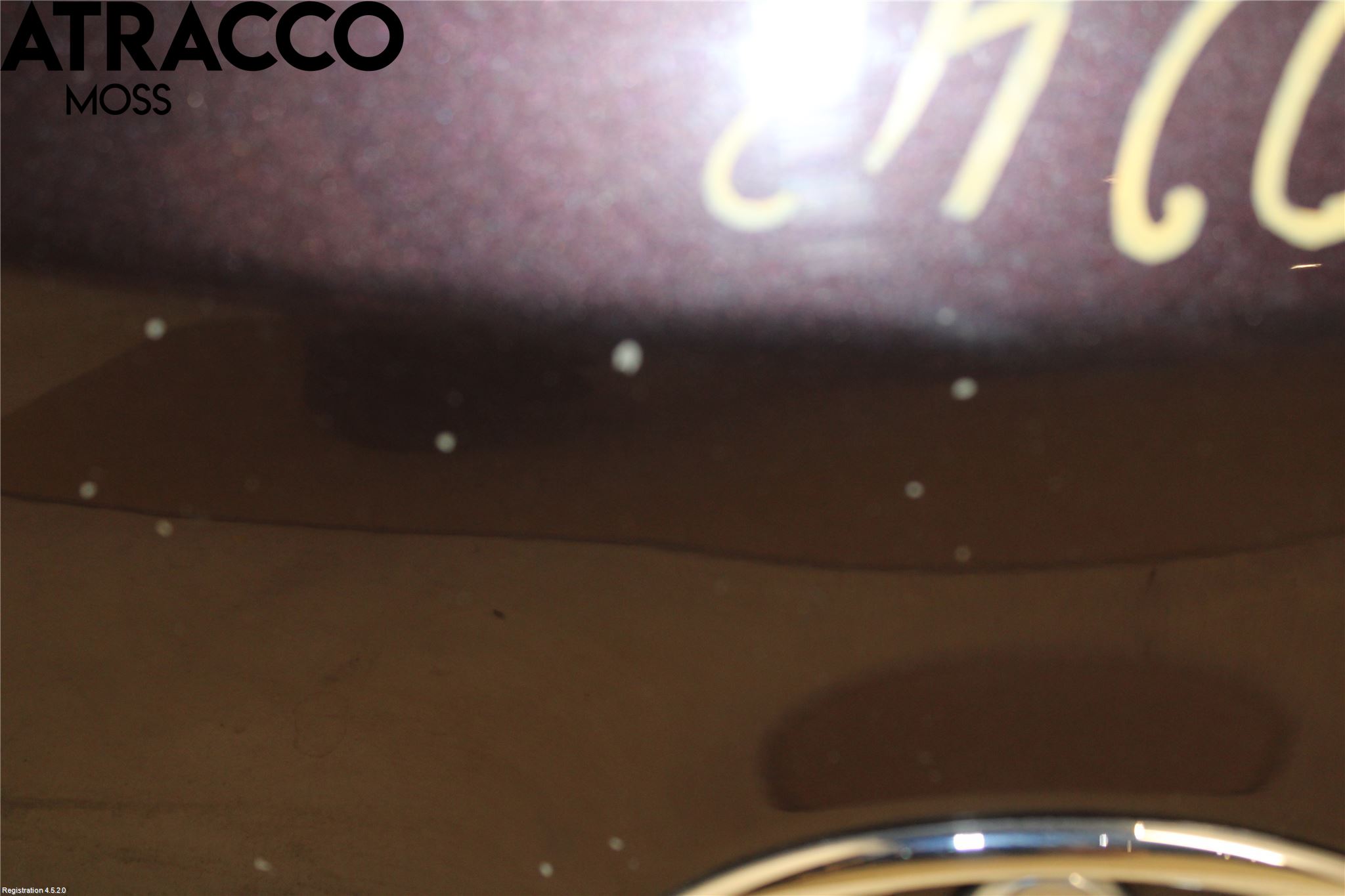 Toyota URBAN CRUISER Panser