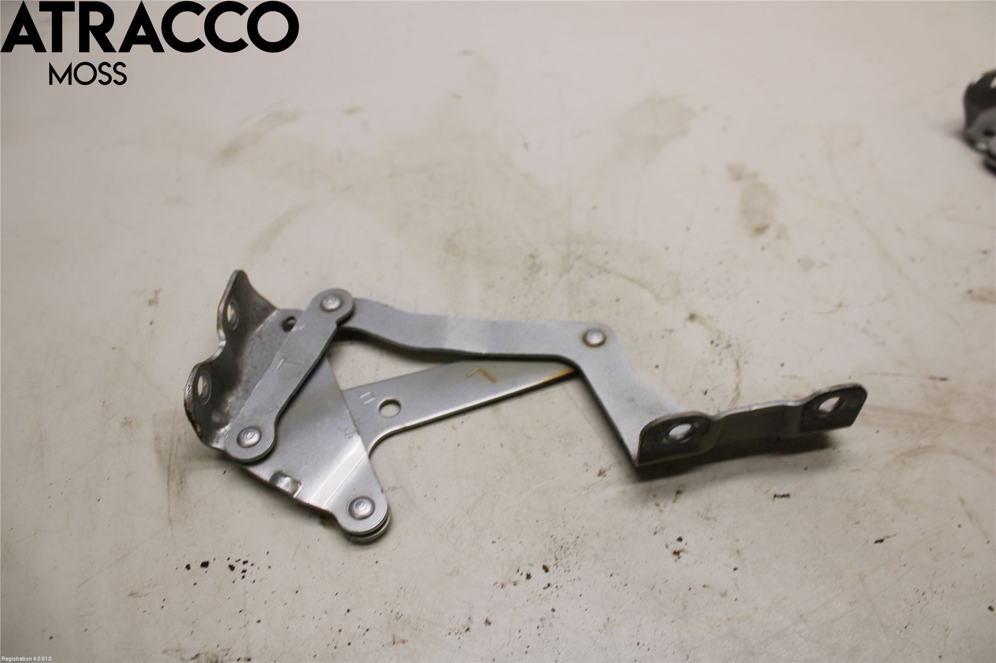 Citroen C-ZERO Panser Hengsel - Hengsler