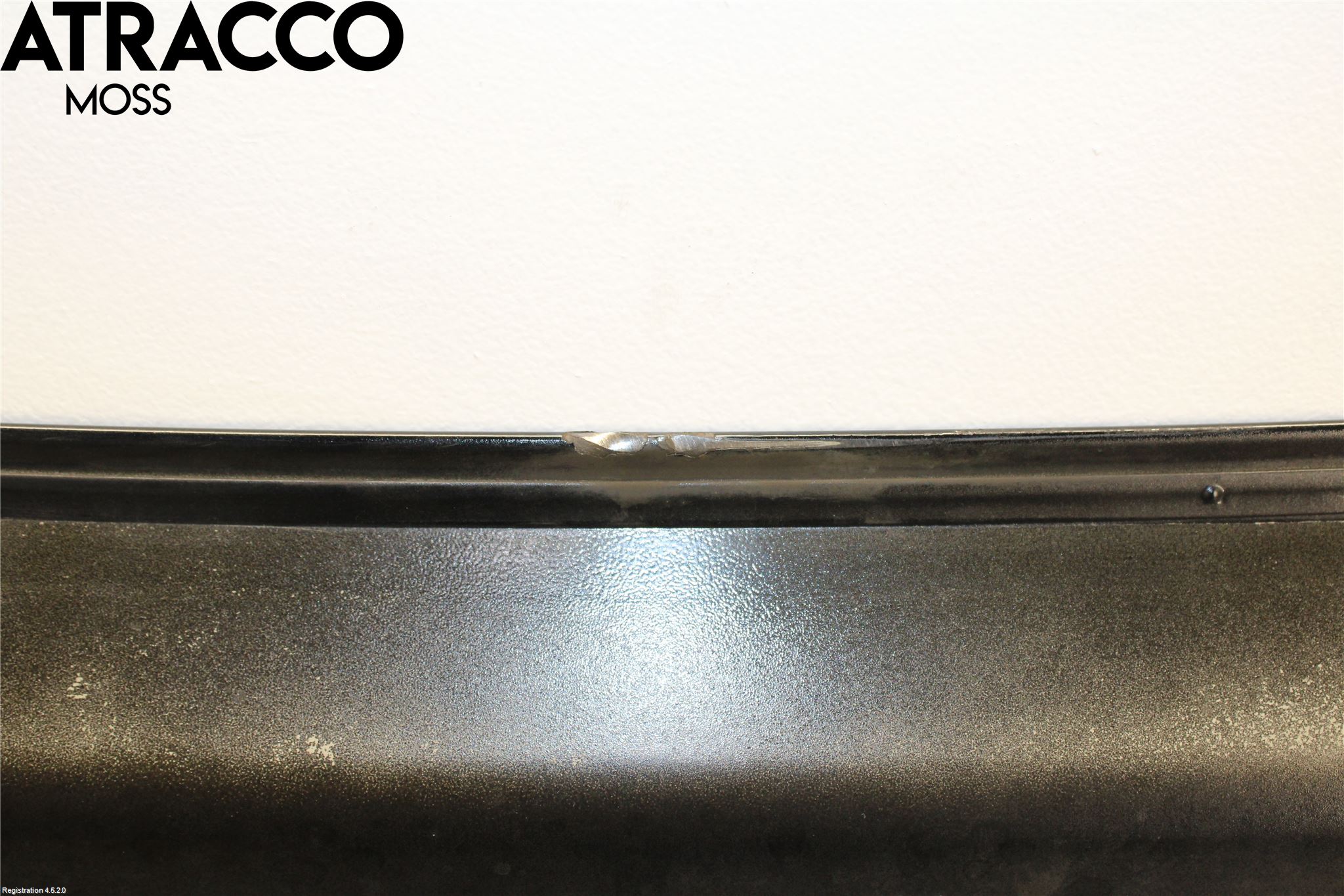 BMW X3 E83     03-10 Panser