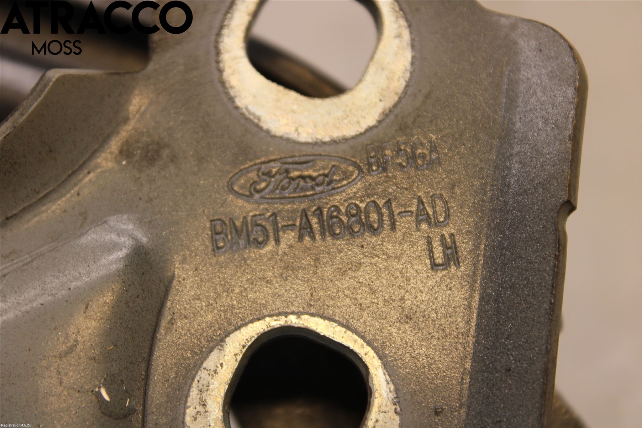 Ford FOCUS 15-18 Panser Hengsel - Hengsler