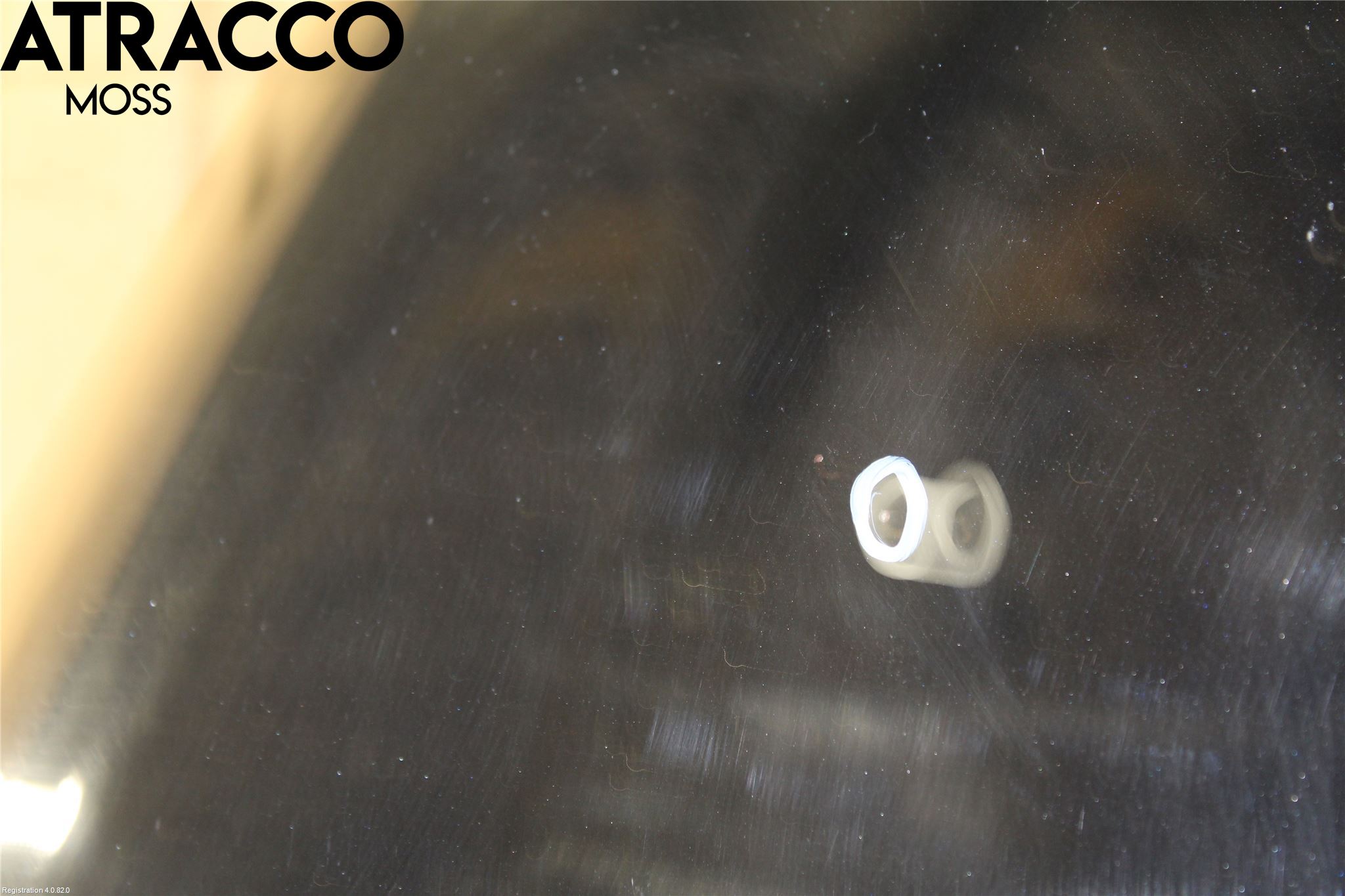 Ford FOCUS 08-11 Panser