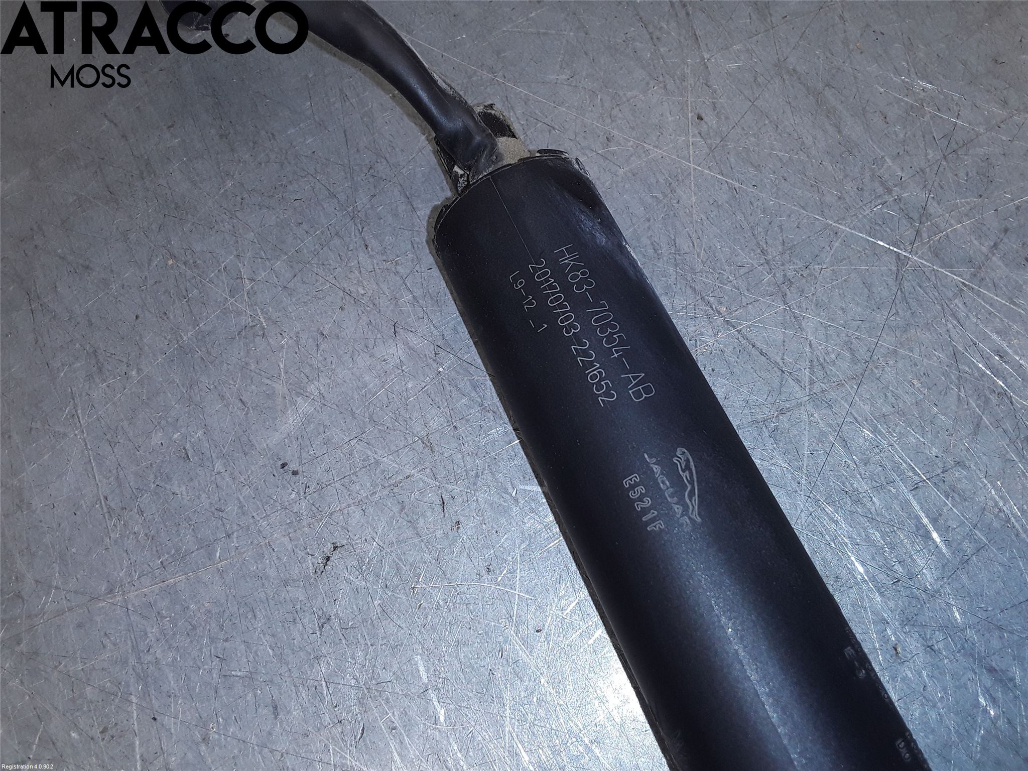 Jaguar F-PACE Bakluke Demper-Gassfjær