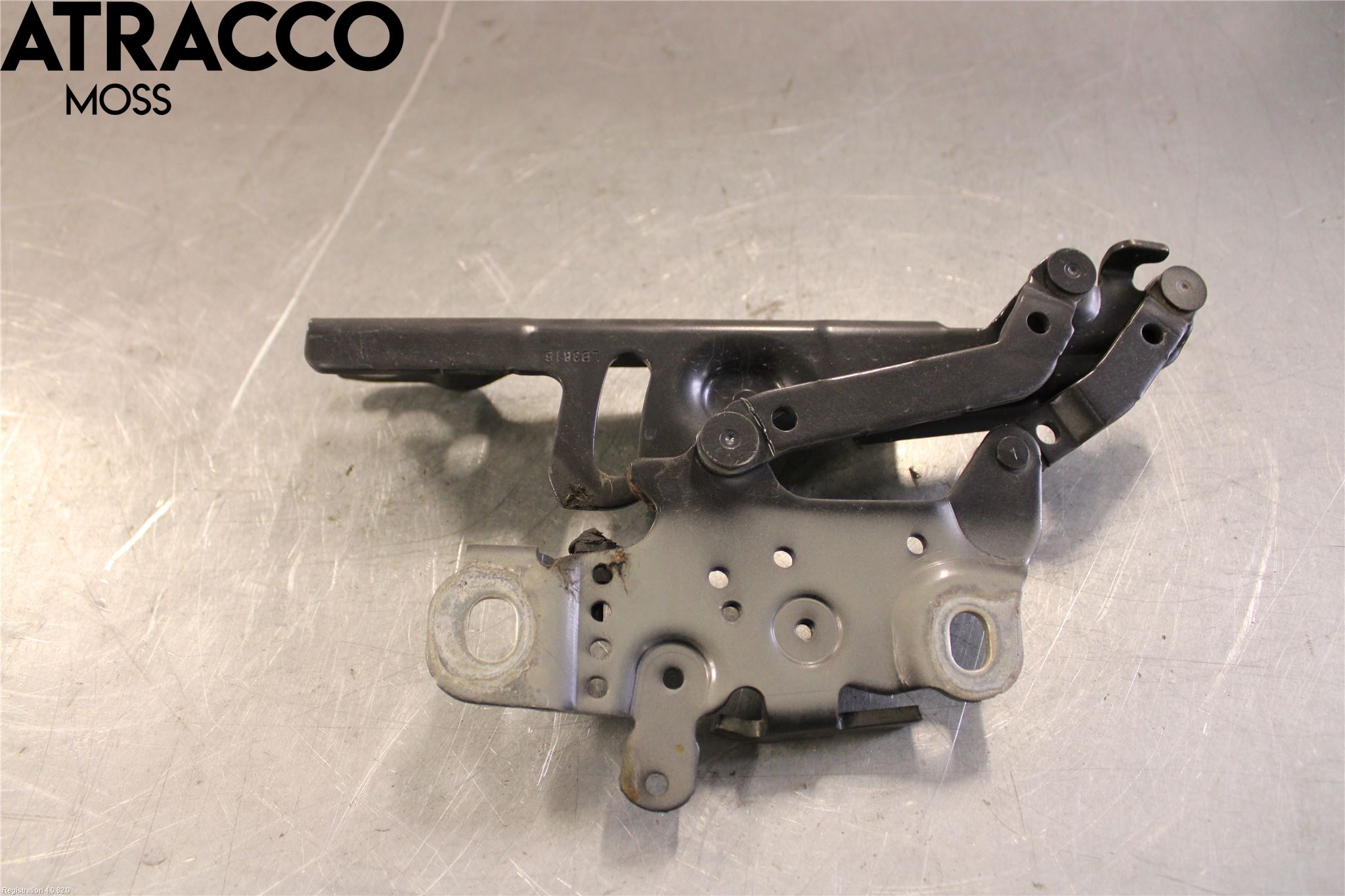 BMW 3 F30/F31/F80 12-19 Panser Hengsel - Hengsler