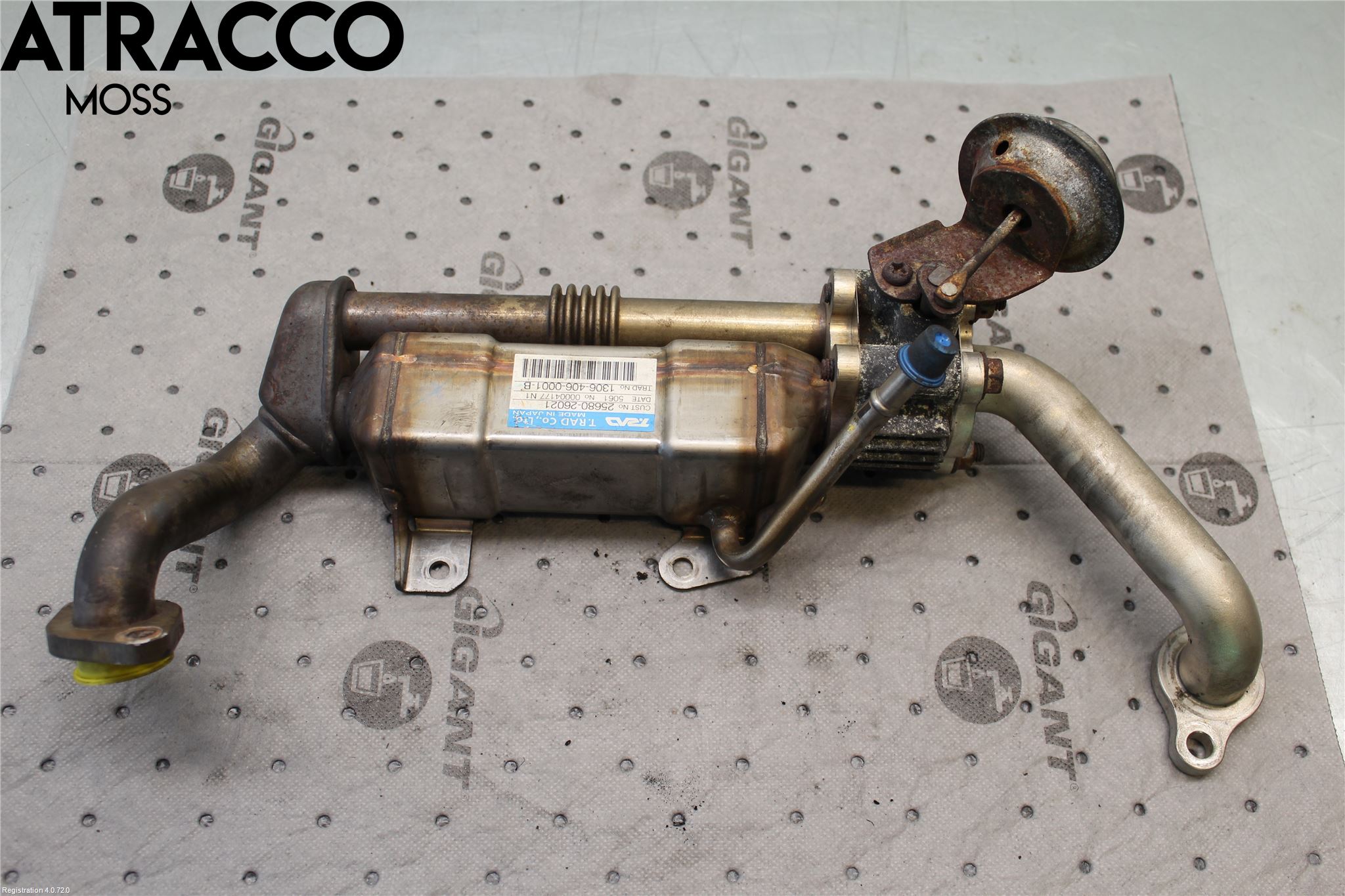 Toyota RAV 4 06-12 Eksos Kjøler