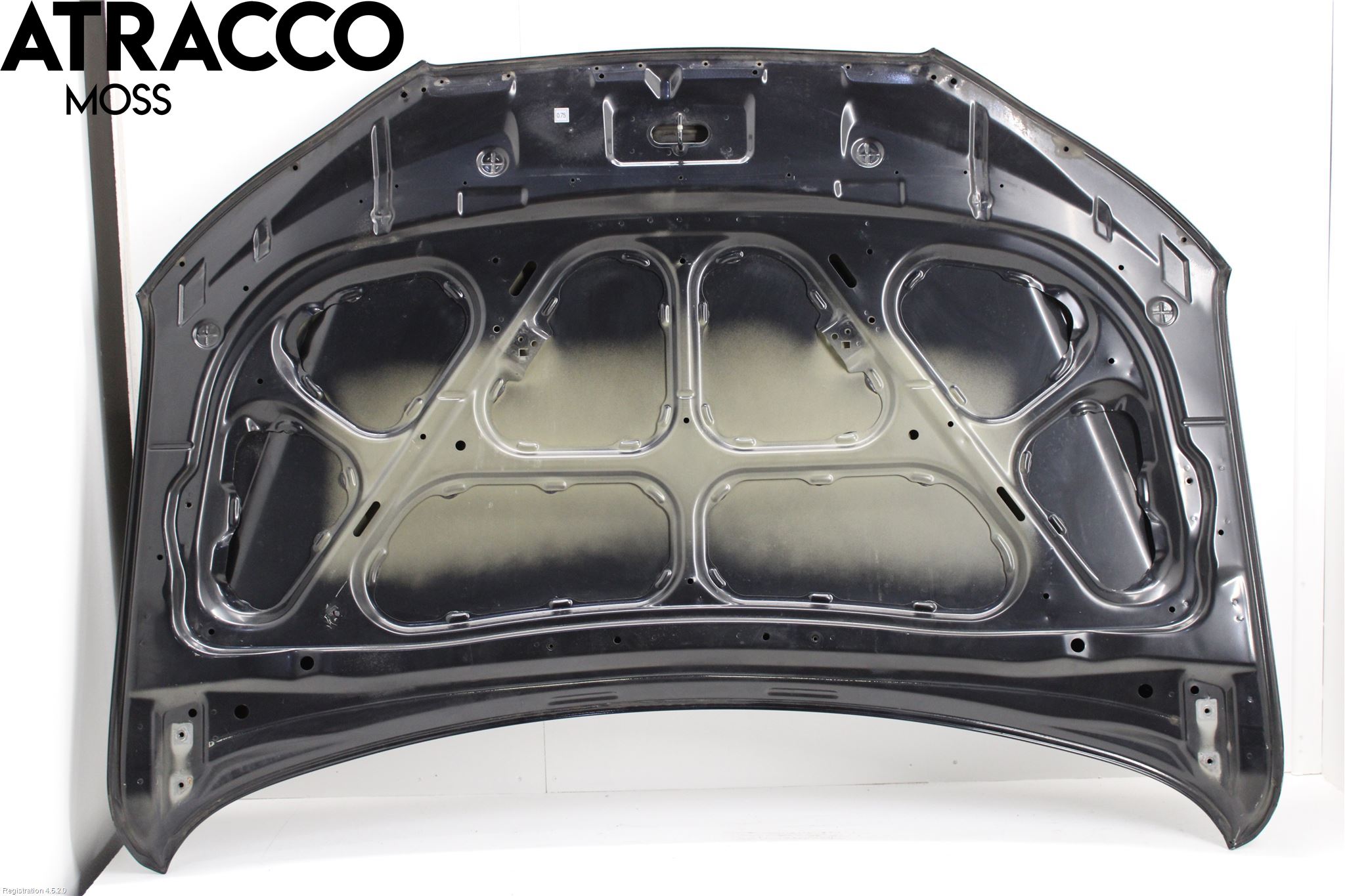 Hyundai SANTA FE  06-12 Panser