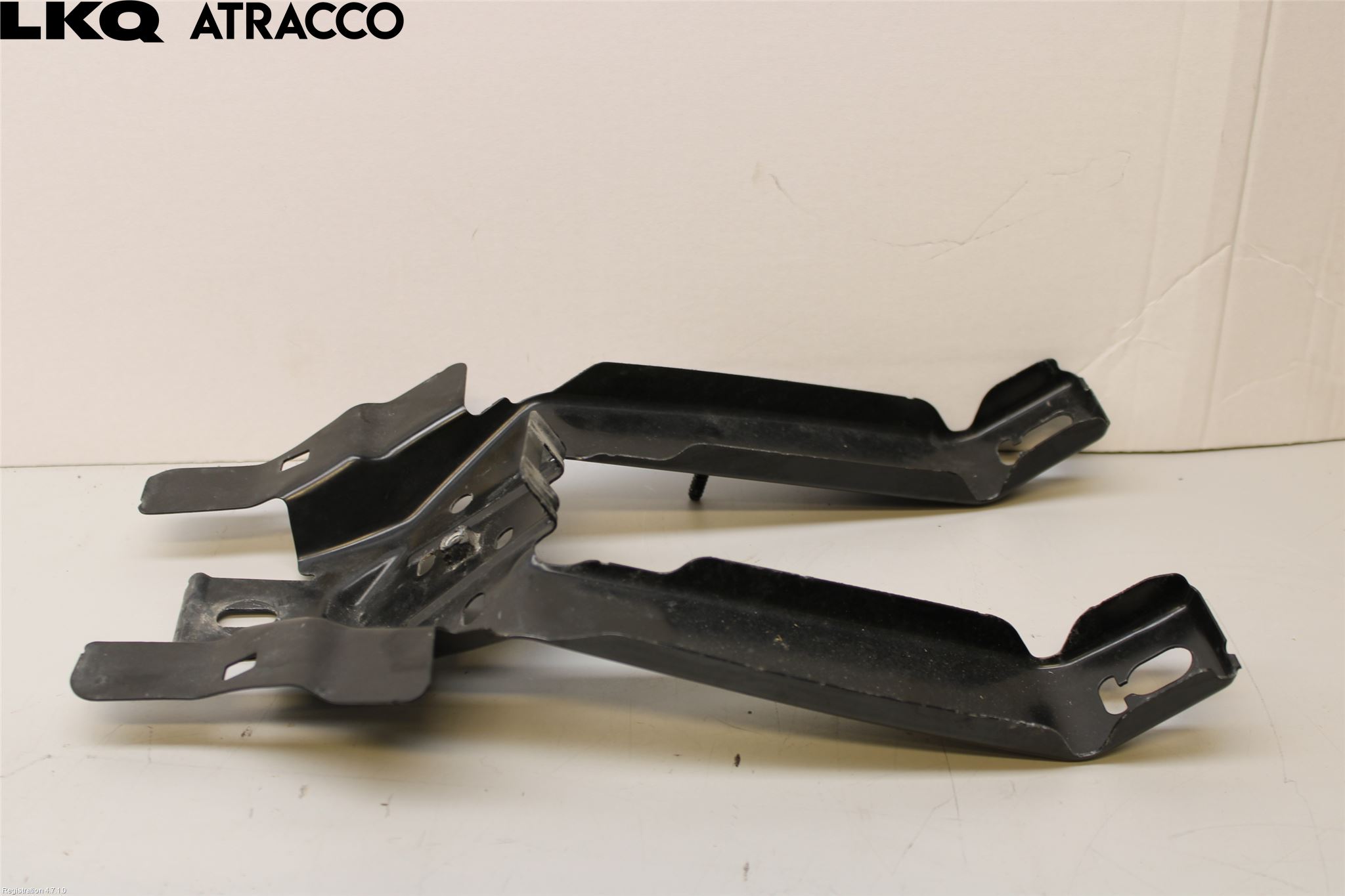 Volkswagen VW ID.4 21- Panser Hengsel - Hengsler