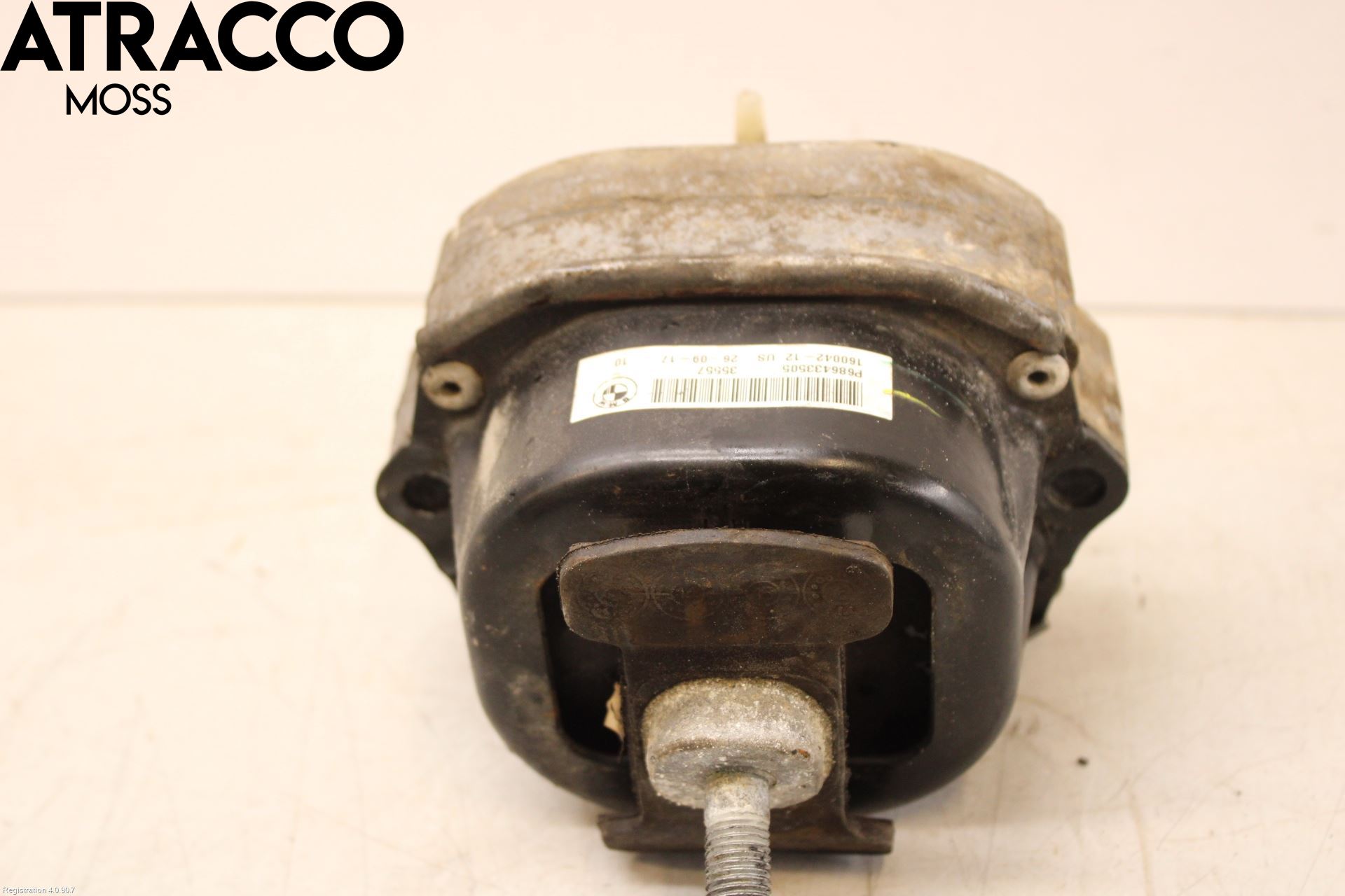 BMW X5 F15 13-18 Motor Feste Gummi