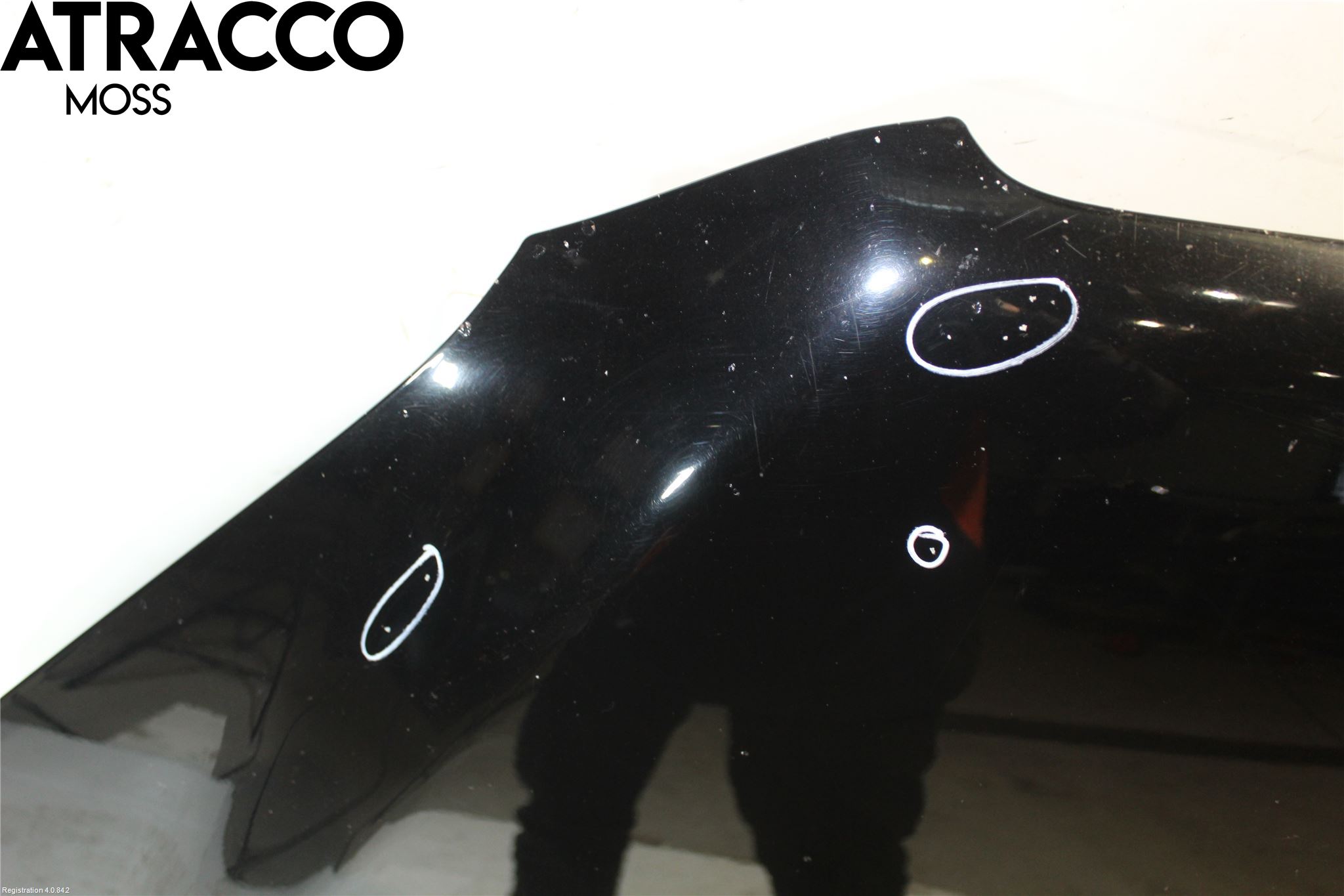 Toyota RAV 4 06-12 Panser