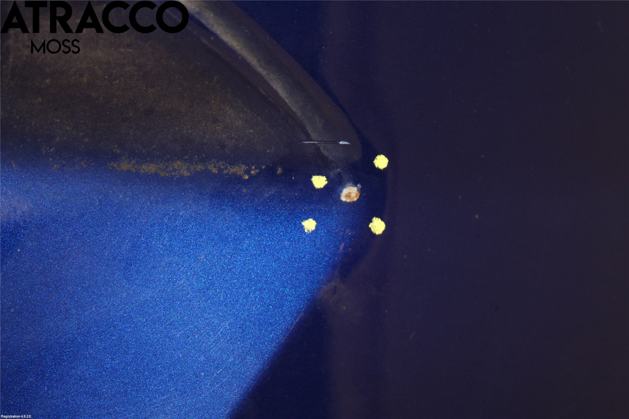 Ford KUGA 13-16 Bakluke Cc - Kombi