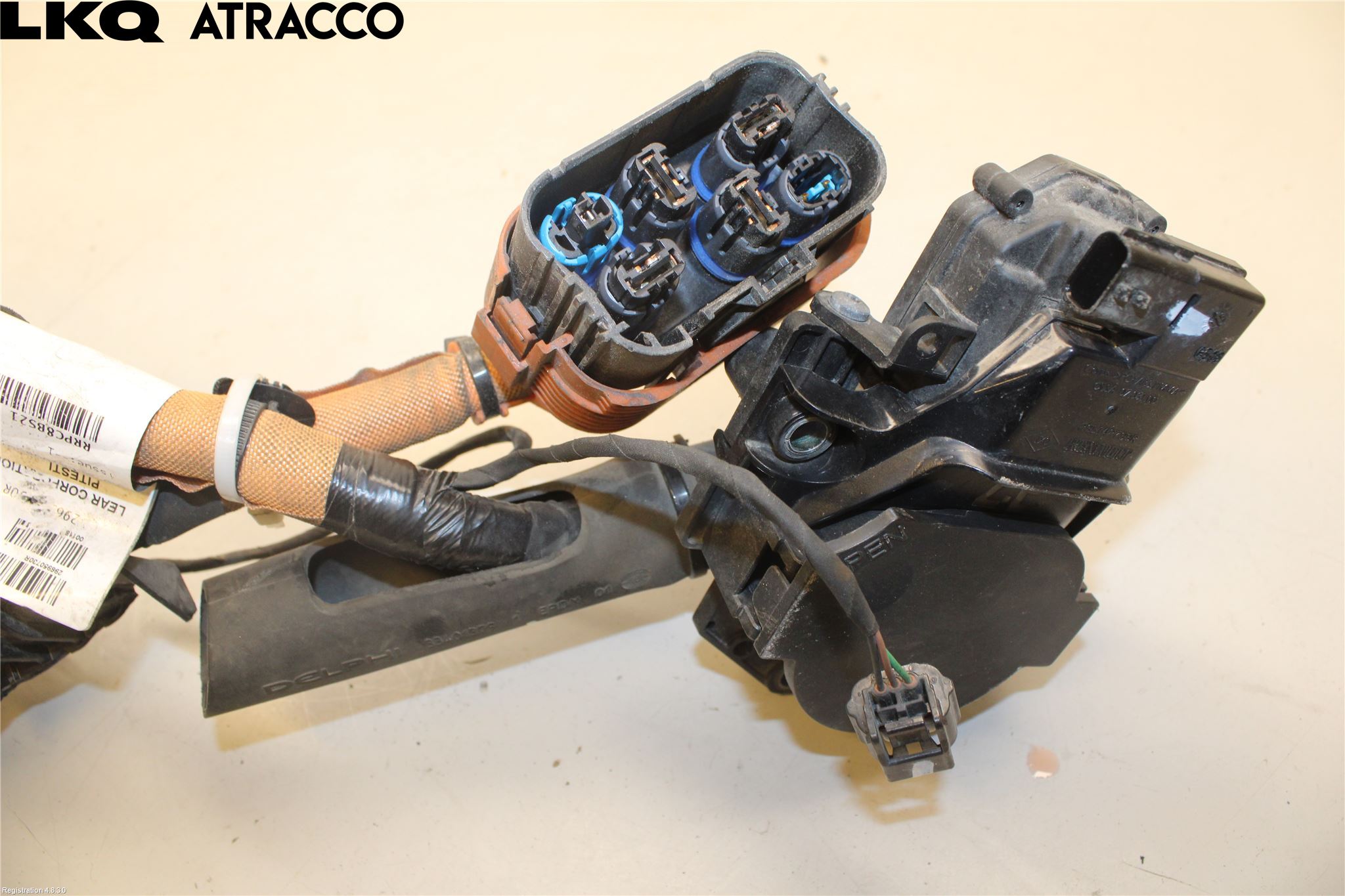 Renault ZOE/E-TECH 13- Ledningsnett