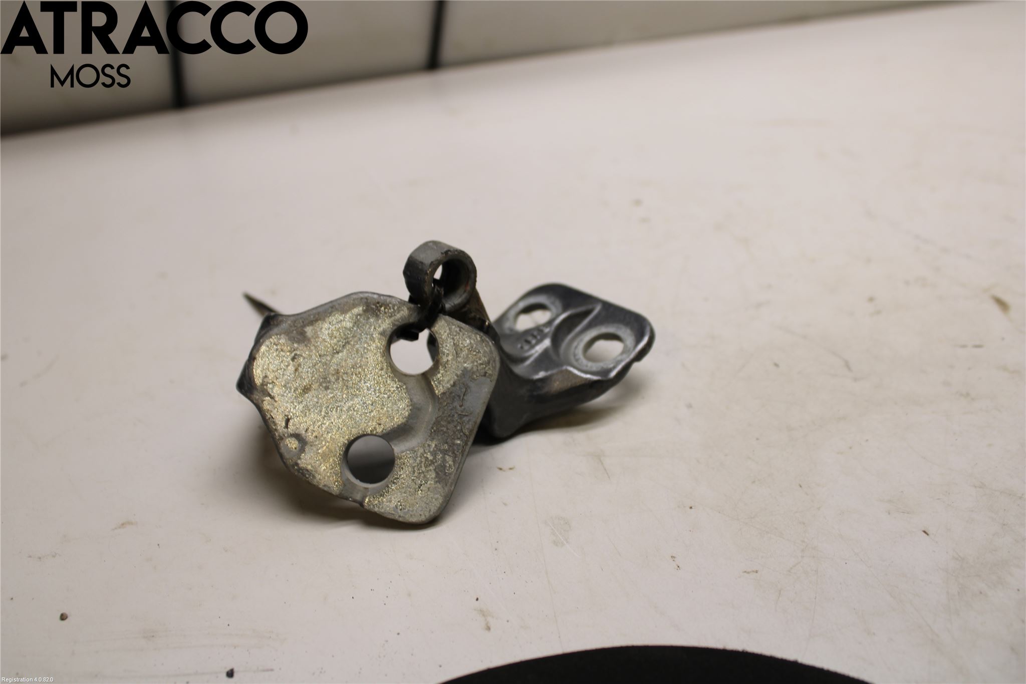 Landrover LAND ROVER DISCOVERY 4 10-16 Dørhengsel