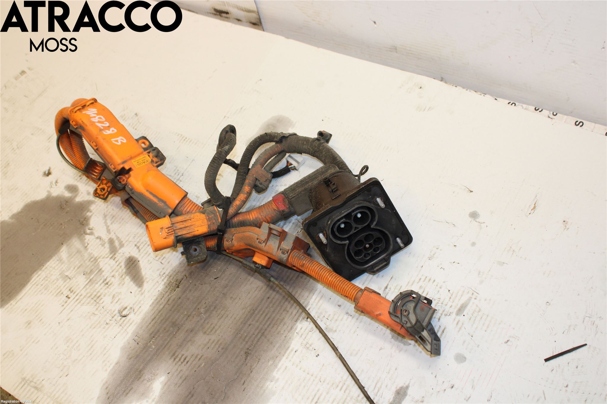 Hyundai IONIQ AE 17-22 Ledningsnett