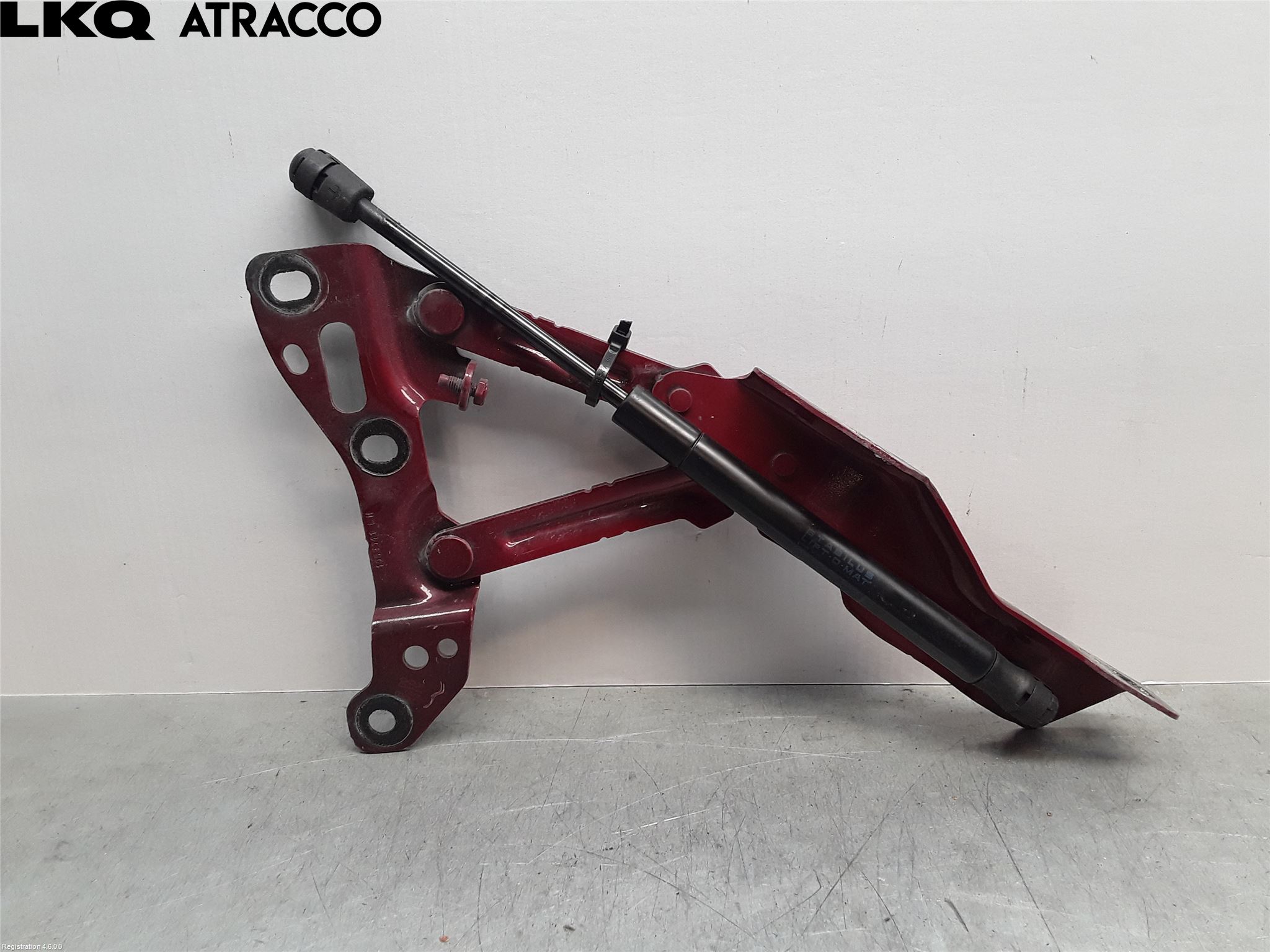 Tesla MODEL X 16- Panser Hengsel - Hengsler