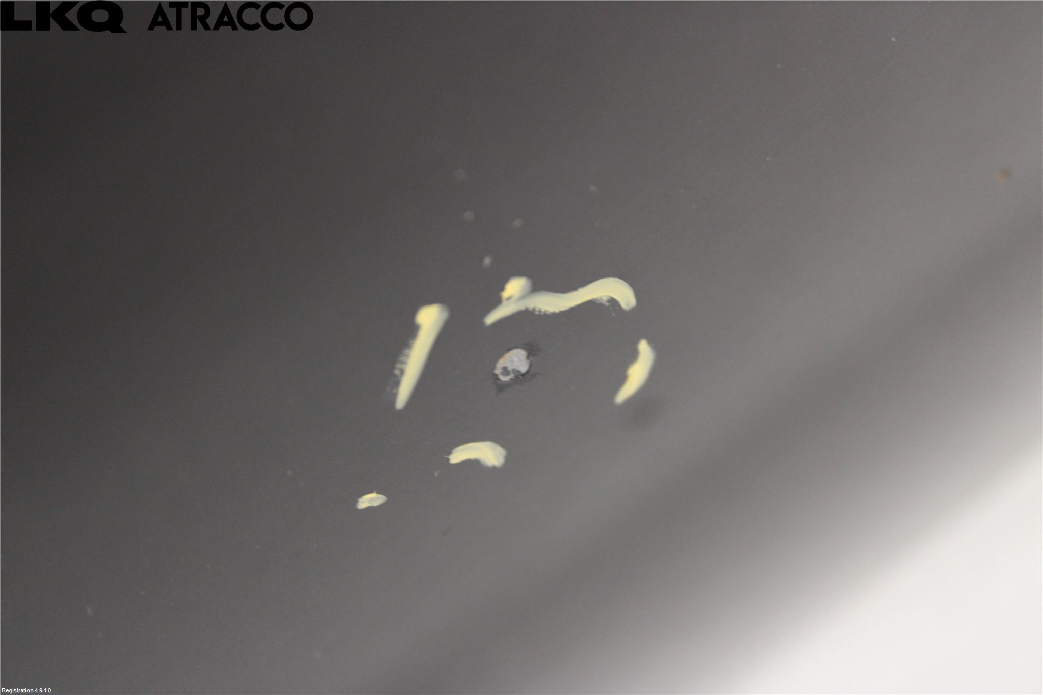 Volkswagen VW GOLF PLUS/CROSS GOLF 04-14 Panser