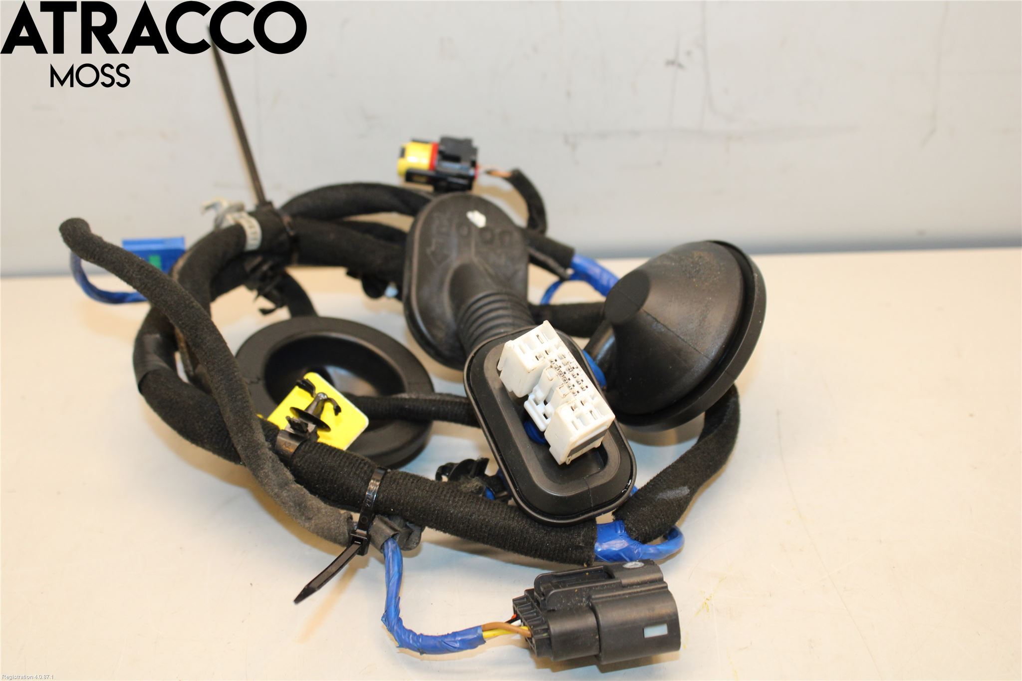 Hyundai IONIQ AE 17-22 Ledningsnett