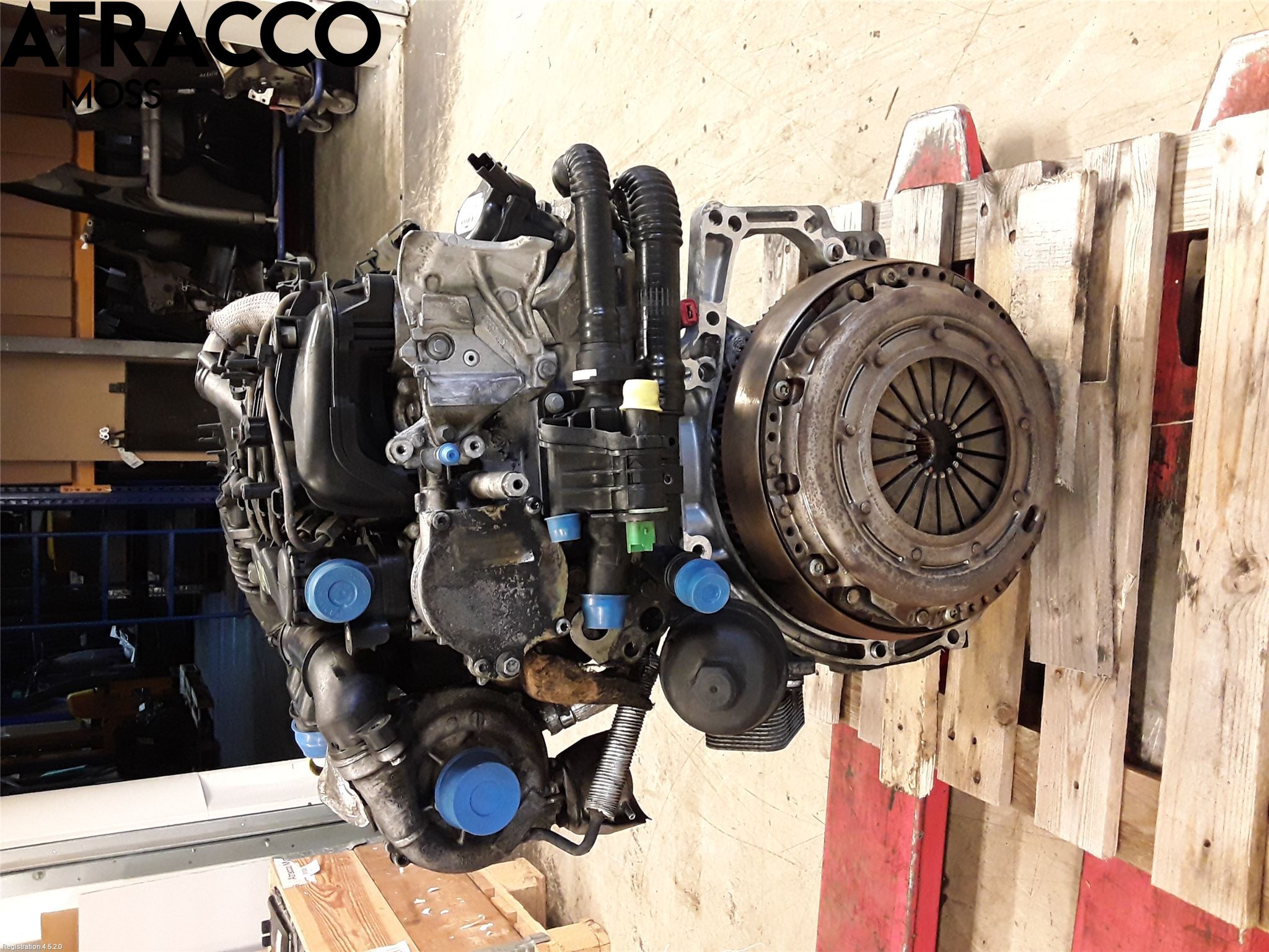 Ford FOCUS     04-07 Motor Diesel