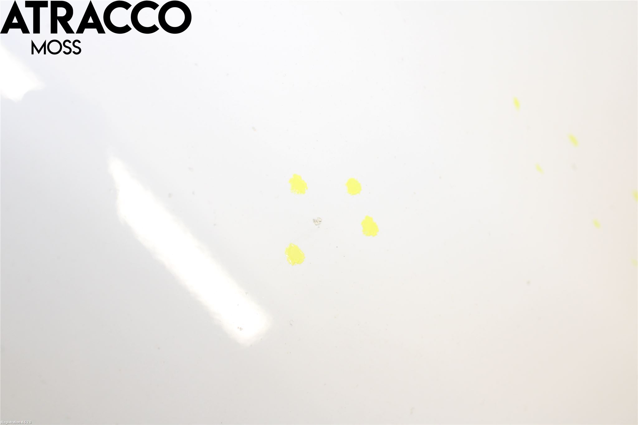 Hyundai IONIQ AE 17-22 Panser