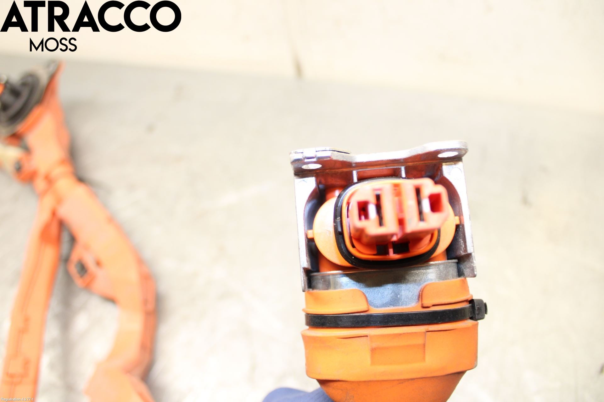 Toyota CAMRY 19-24 Ledningsnett