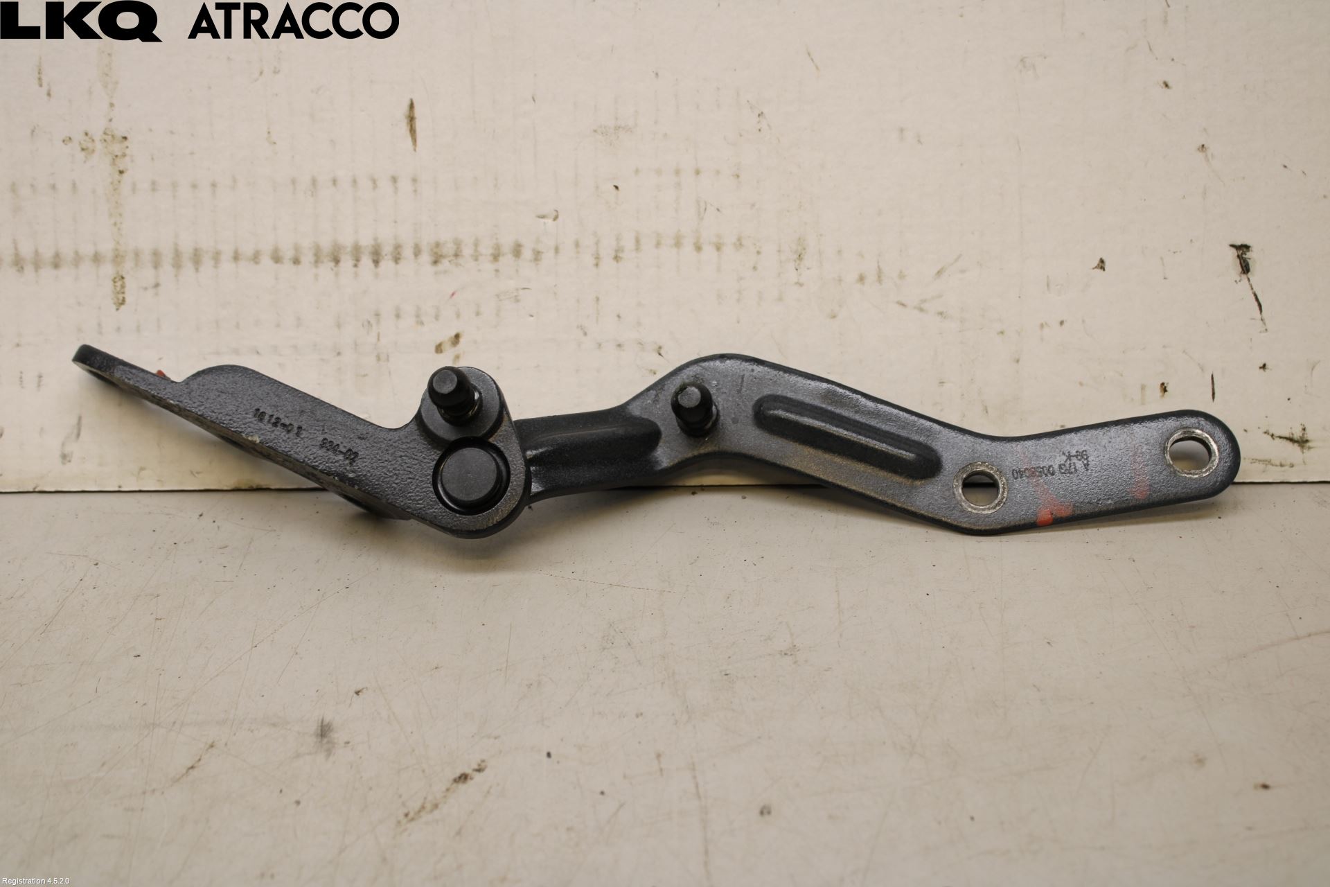 Tesla MODEL X 16- Panser Hengsel - Hengsler