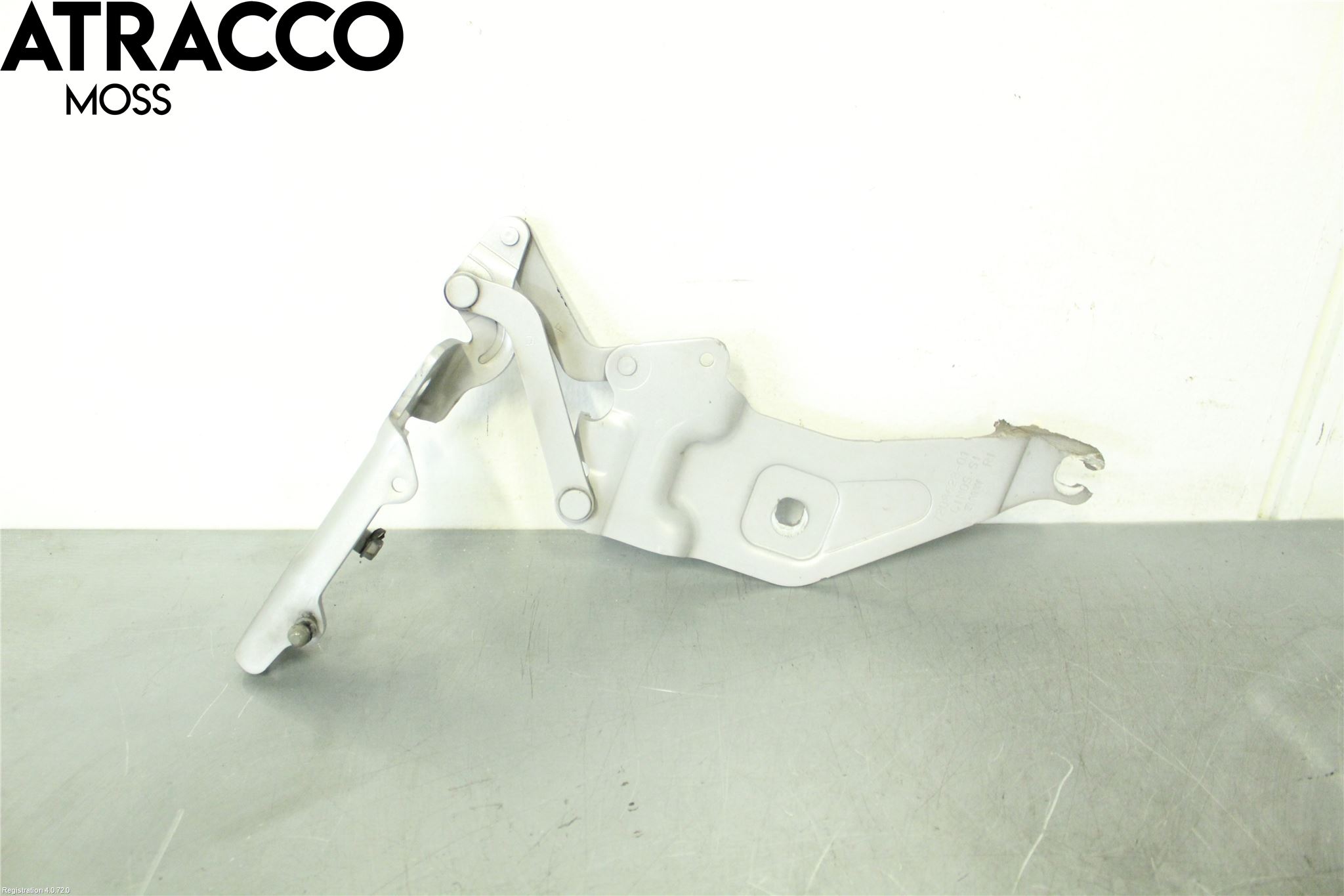 BMW X5 E70 07-13 Panser Hengsel - Hengsler