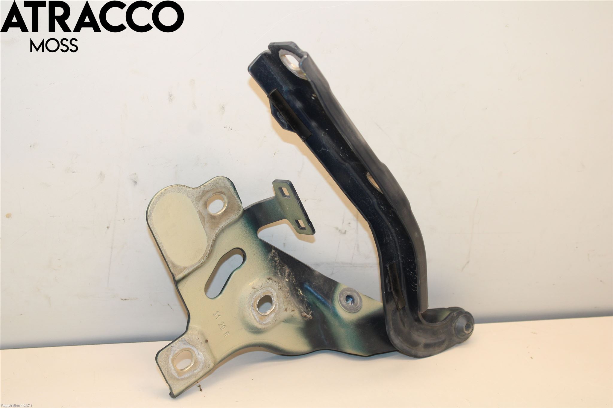 Audi E-TRON, S GE 19- Panser Hengsel - Hengsler