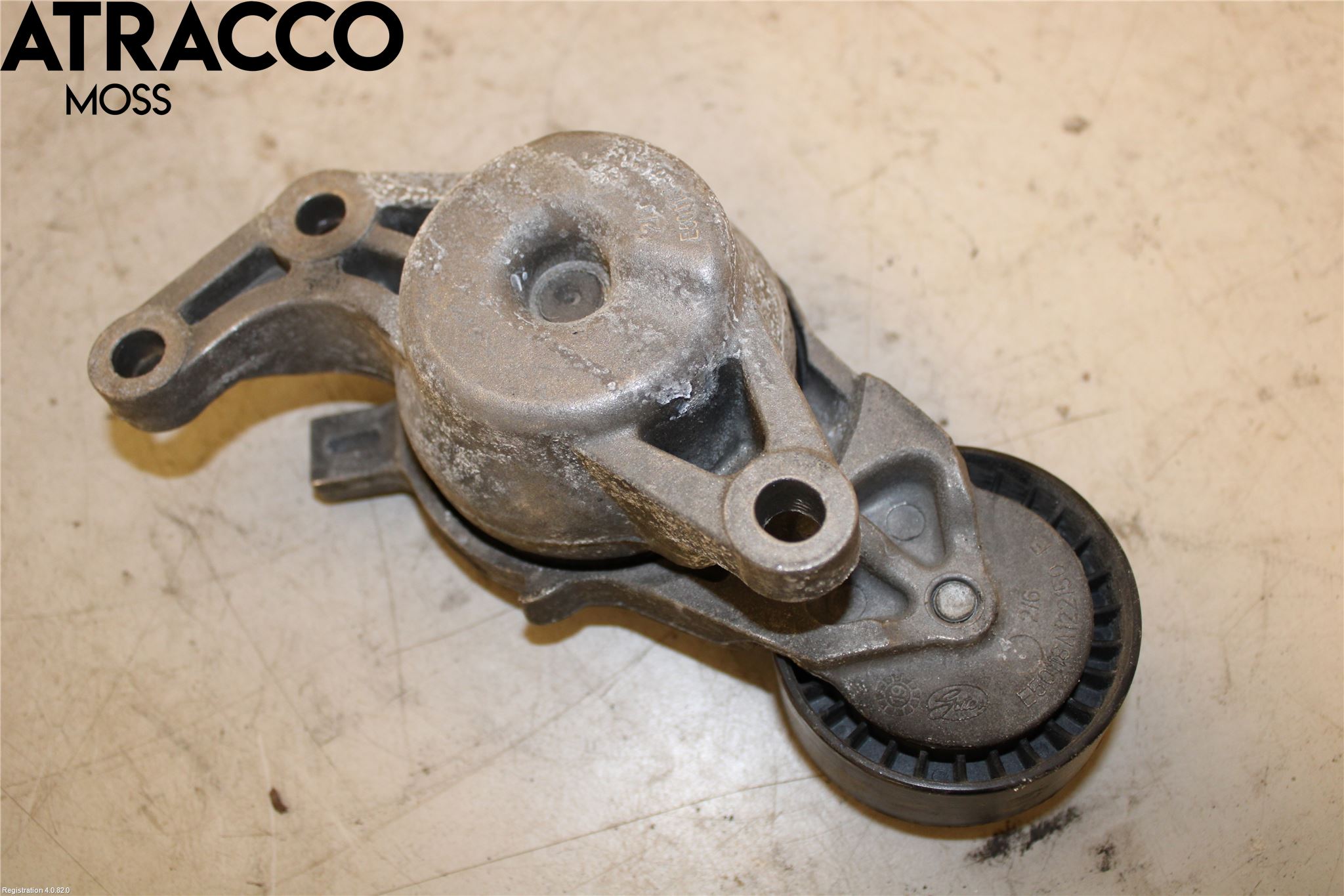 Toyota PROACE II 16- Vifte-Multireim Strammer