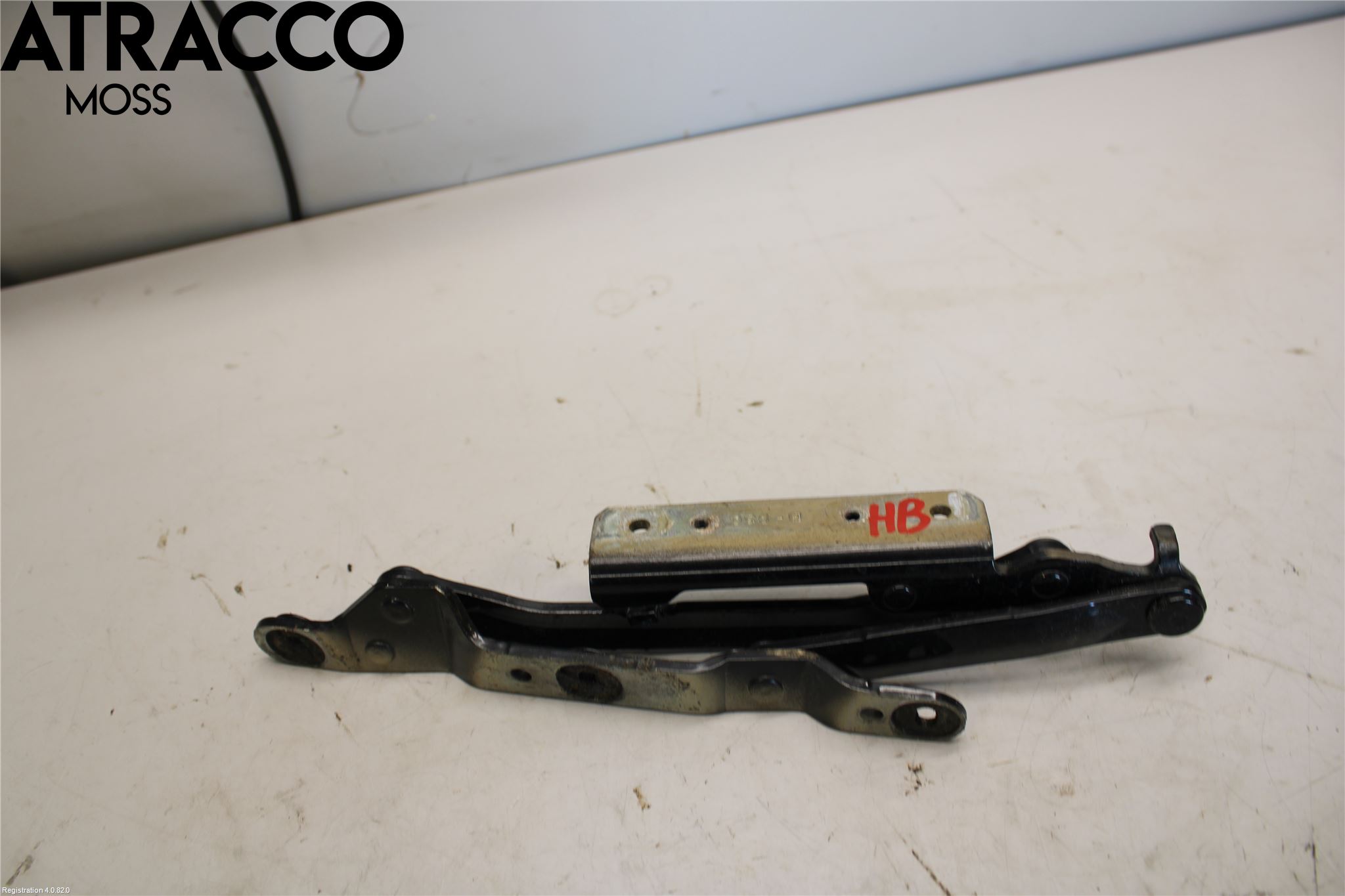 Ferrari ÖVRIGT Panser Hengsel - Hengsler