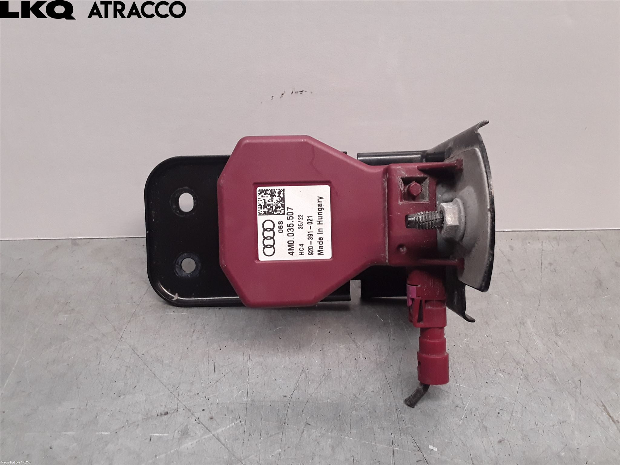 Audi E-TRON, S GE 19- Stereo Antenneforsterker