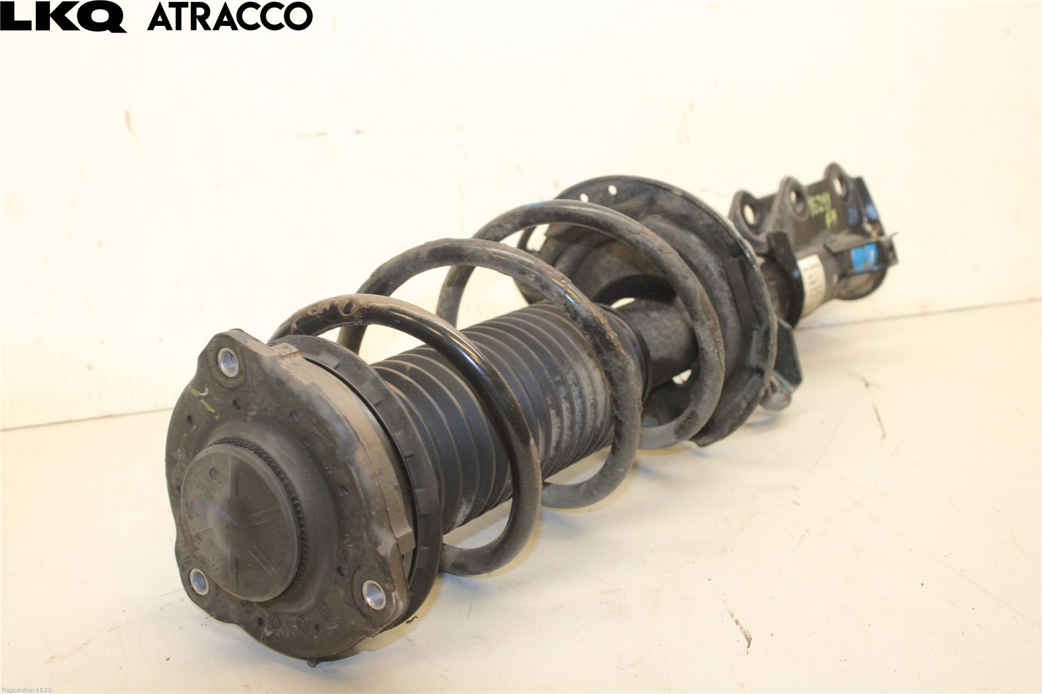 MG 4 23- Fjærbein Foran Høyre