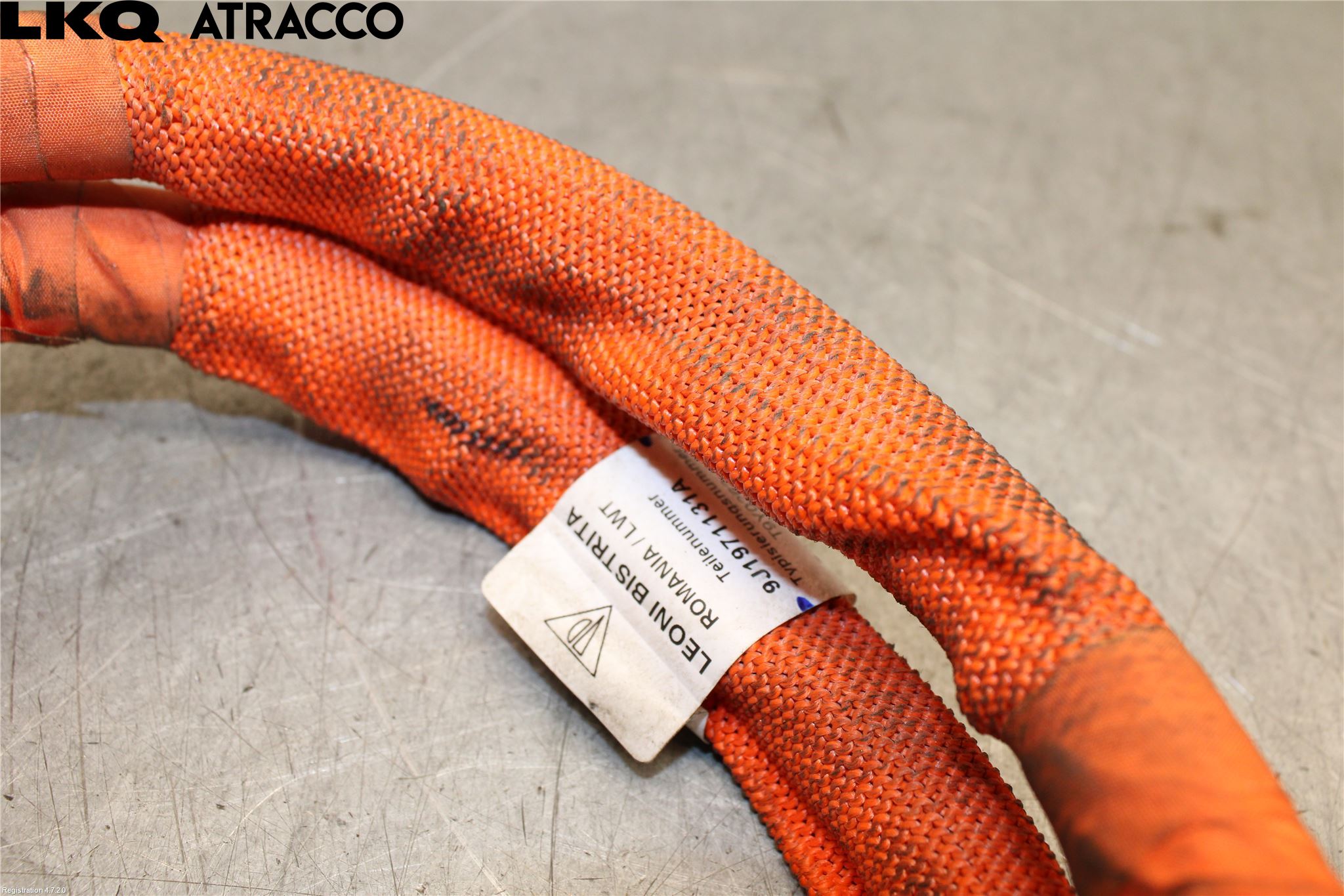 Porsche TAYCAN 20- Ledningsnett