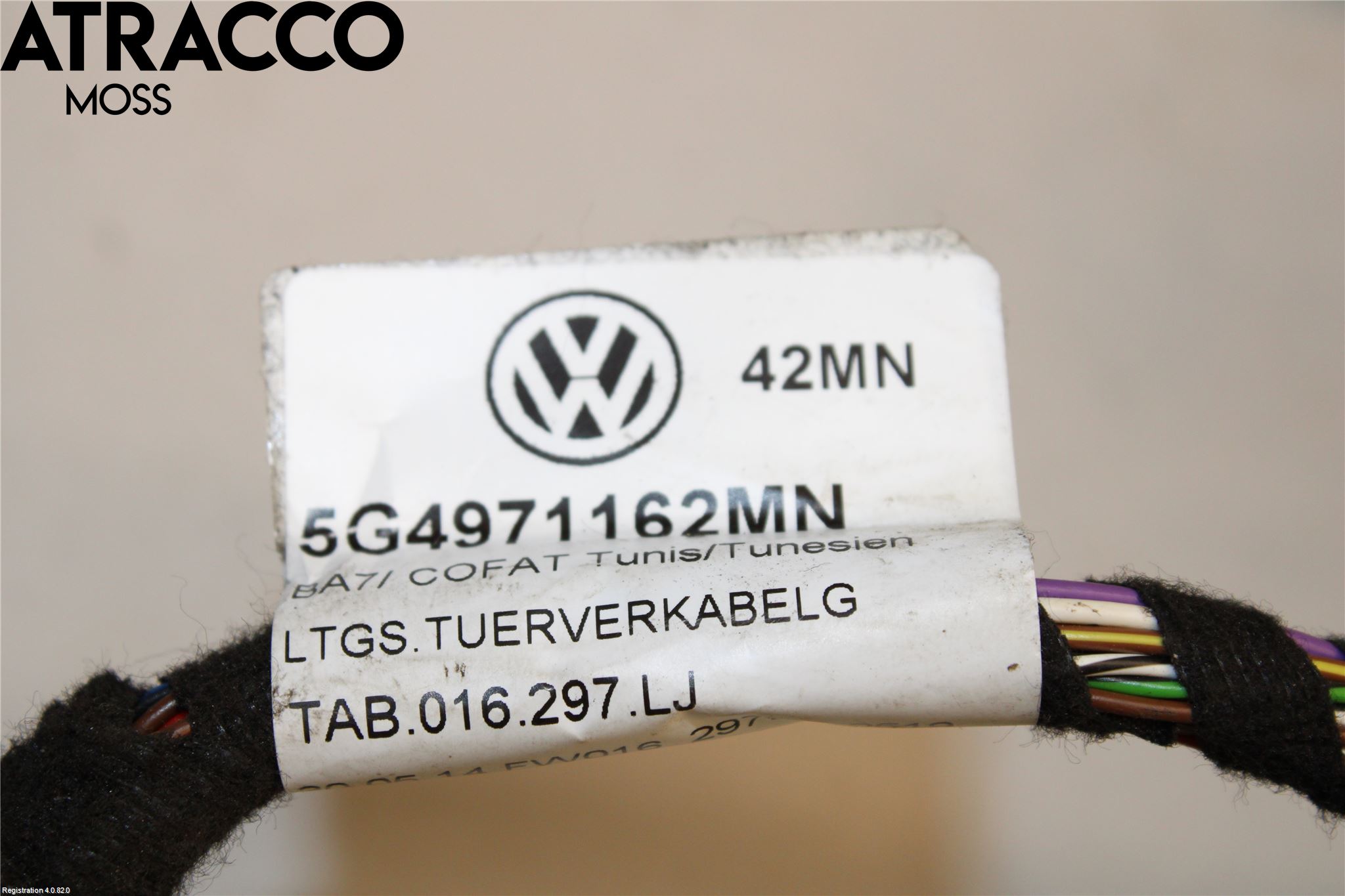 Volkswagen VW GOLF / E-GOLF VII 13-20 Ledningsnett