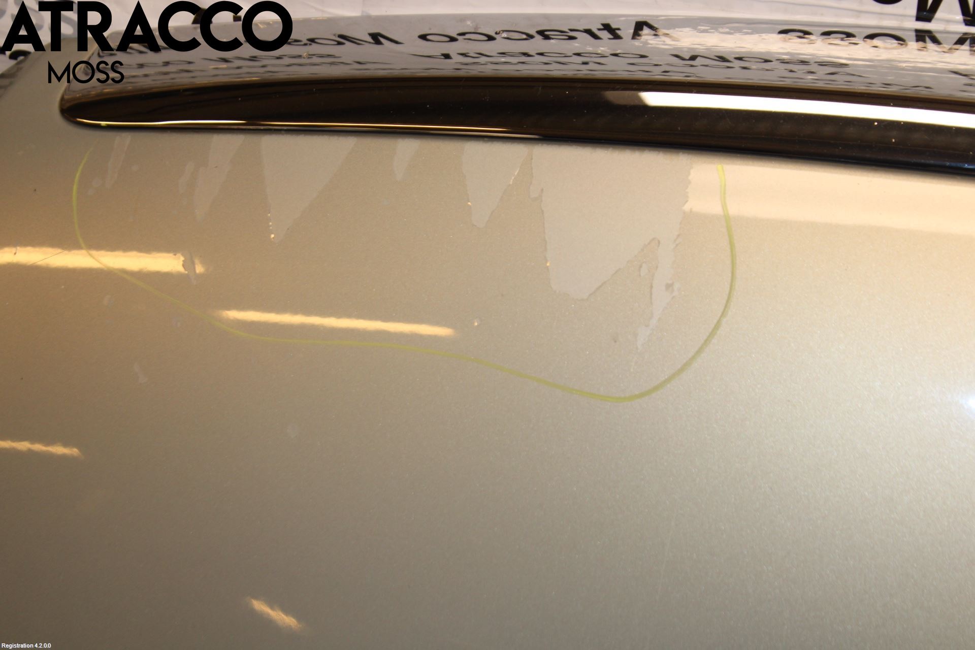 Ford FOCUS 08-11 Panser